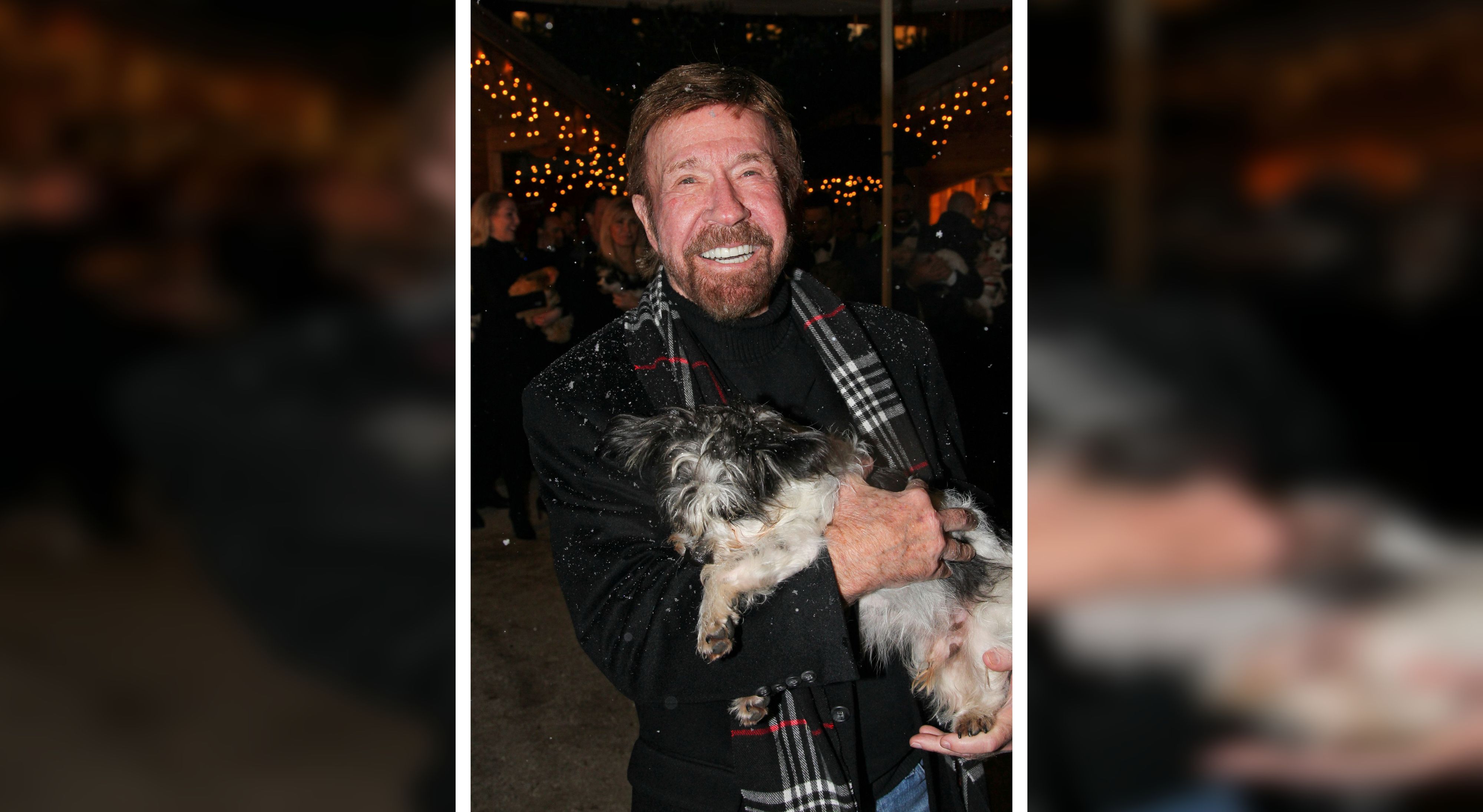 Chuck Norris herzte bei seinem Besuch einen geretteten Hund.
