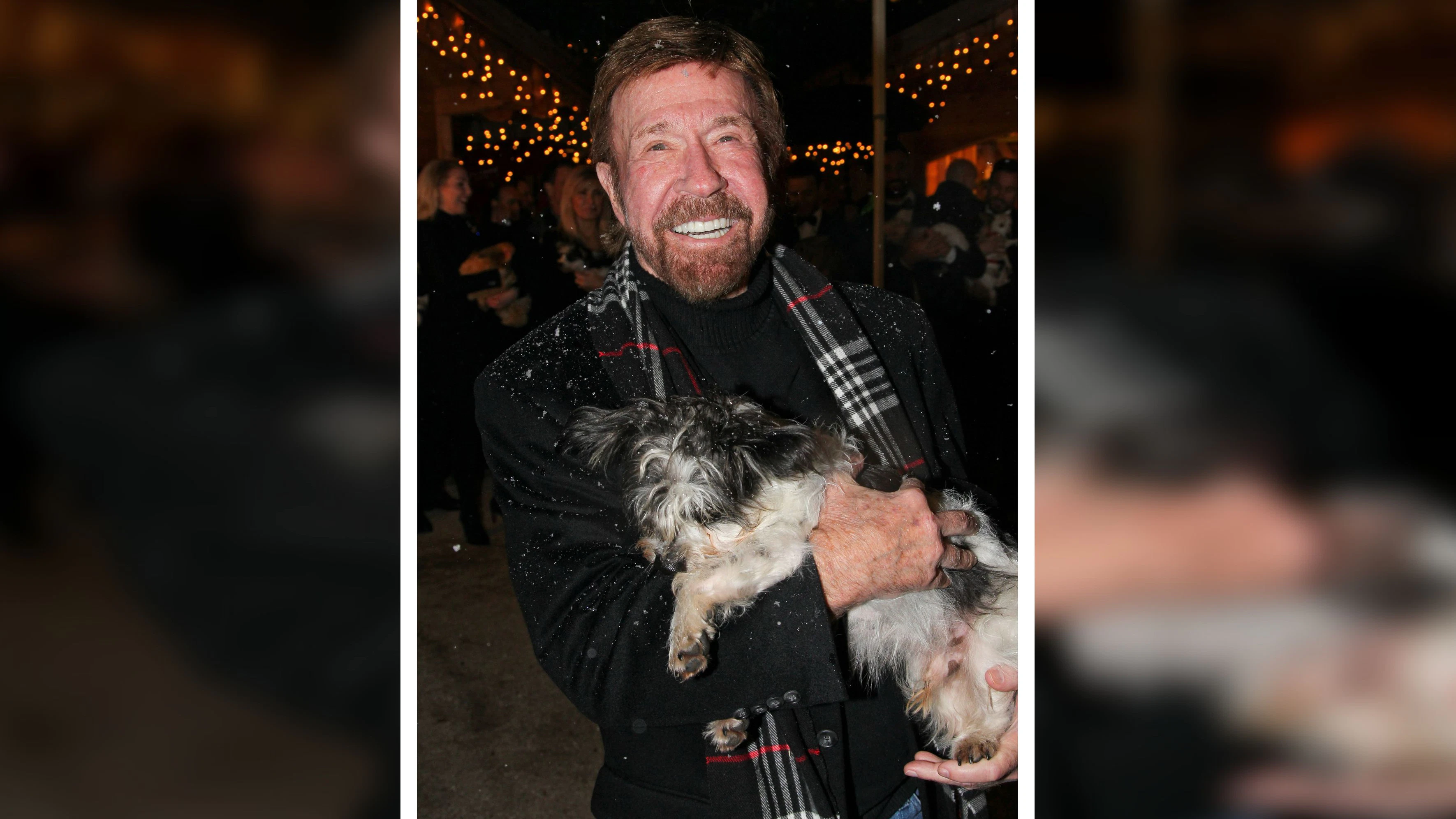 Heute.at - War zu Besuch – Gut Aiderbichl trauert um Chuck Norris