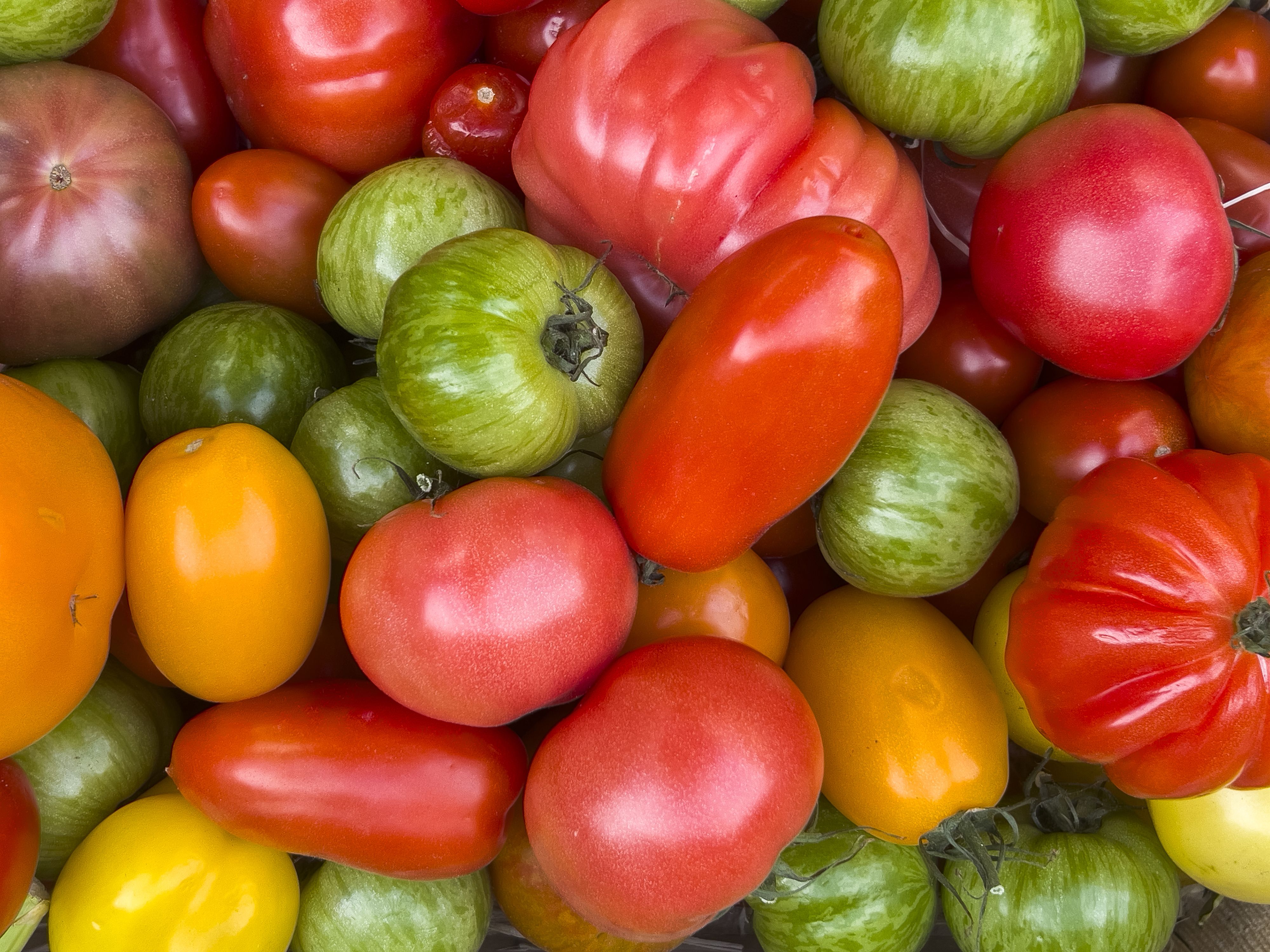 Tomaten werden fast ausschließlich in herzhaften Gerichten verwendet.