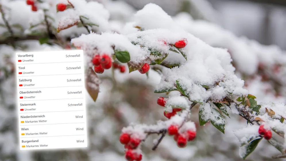Heute.at - 60 cm – Wetter-Experte warnt vor großer Schnee-Gefahr