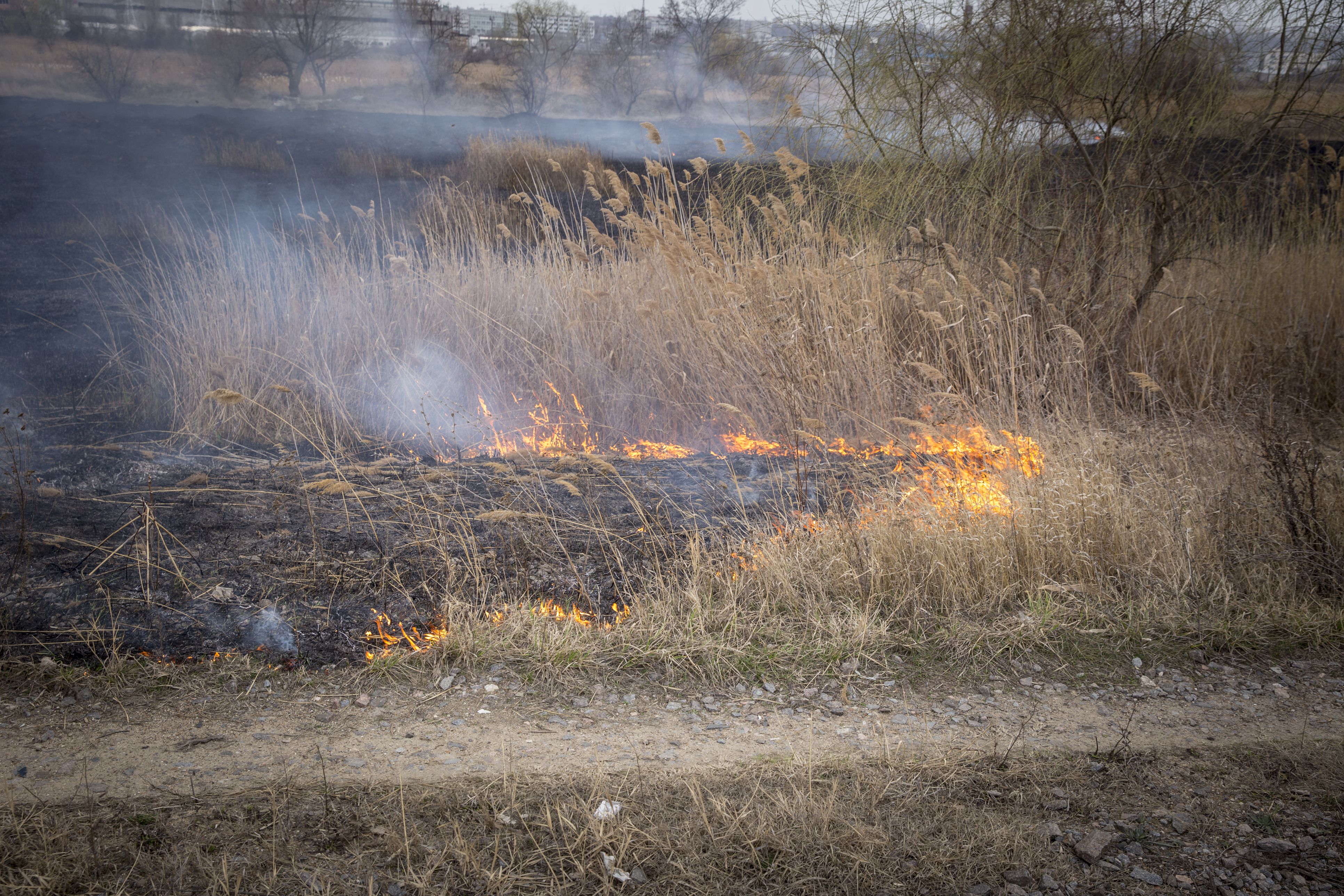 Der Flurbrand wütet im Lungau (Symbolbild).