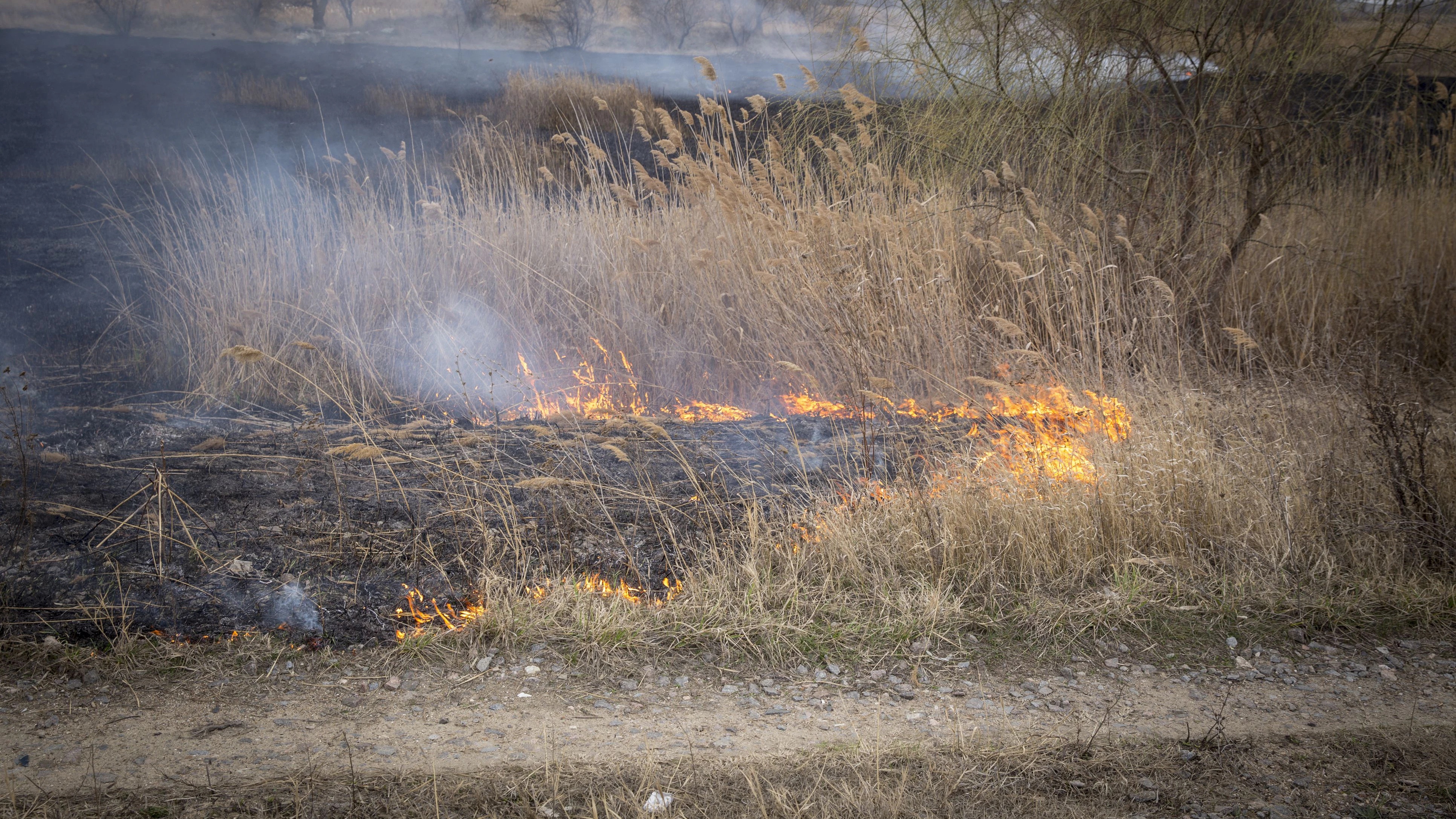 Heute.at - Flurbrand wütet im Lungau – es herrscht Alarmstufe drei
