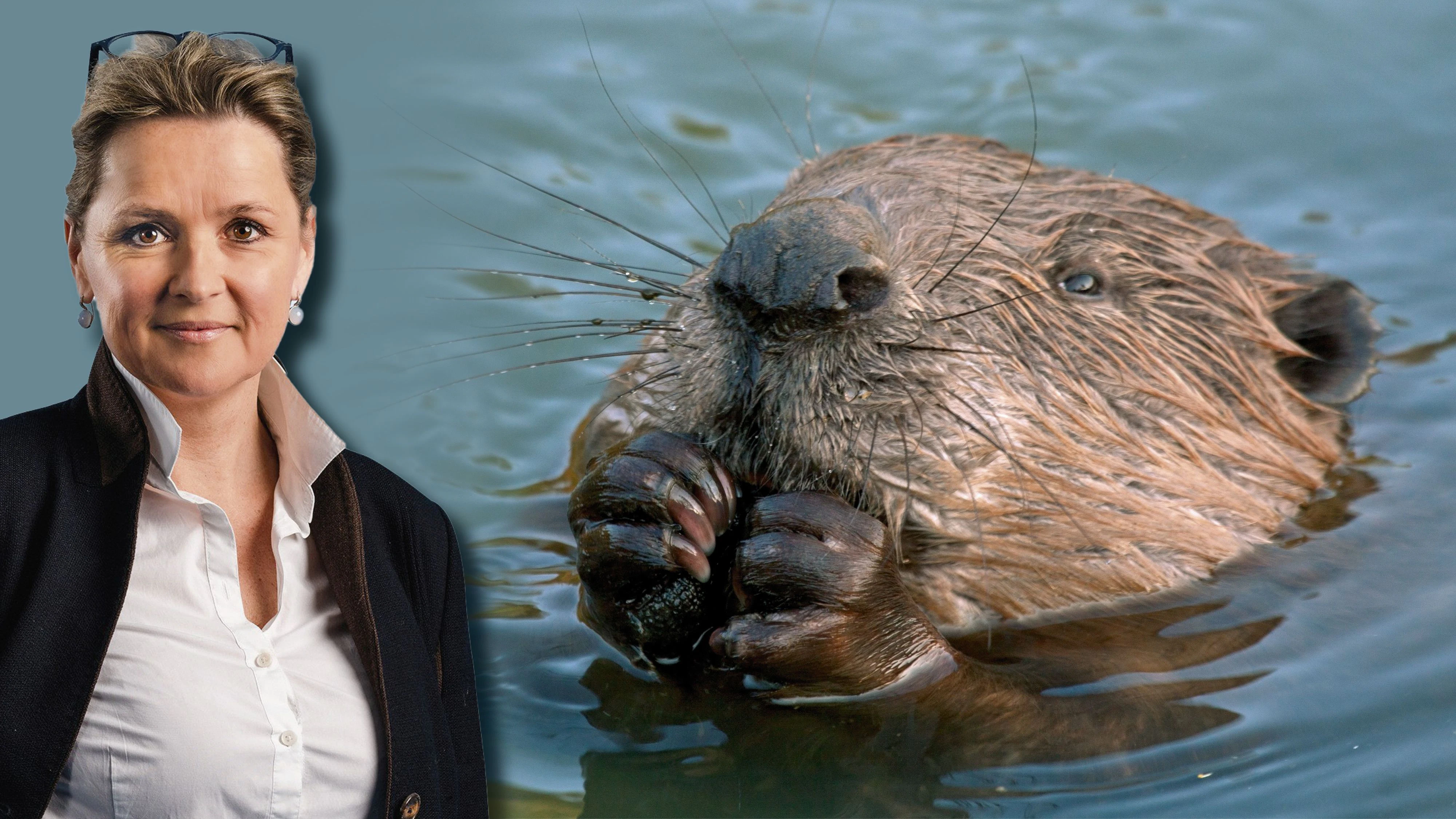 Susanne Rosenkranz (FPÖ, li.) äußert Kritik zu Maskottchen "Biber Berti". 