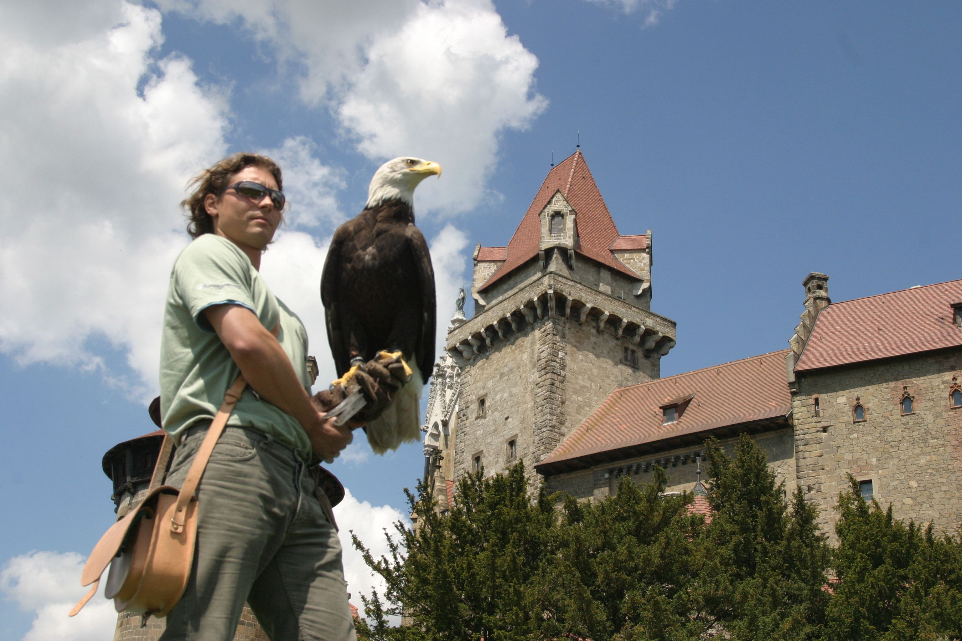 Heute.at - Familienausflug mit Wow Effekt: Adlerwarte Kreuzenstein