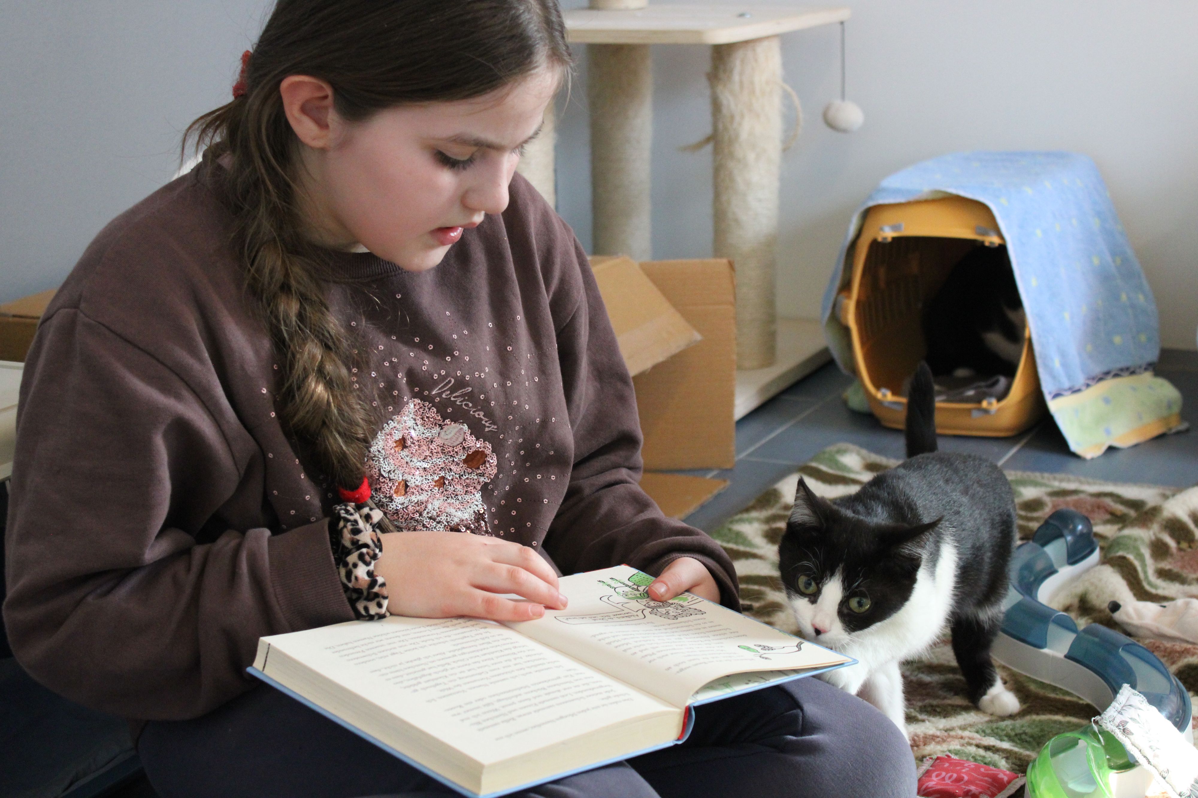 Die Kinder geben den Katzen mit dem Vorlesen Ruhe und Zuwendung.