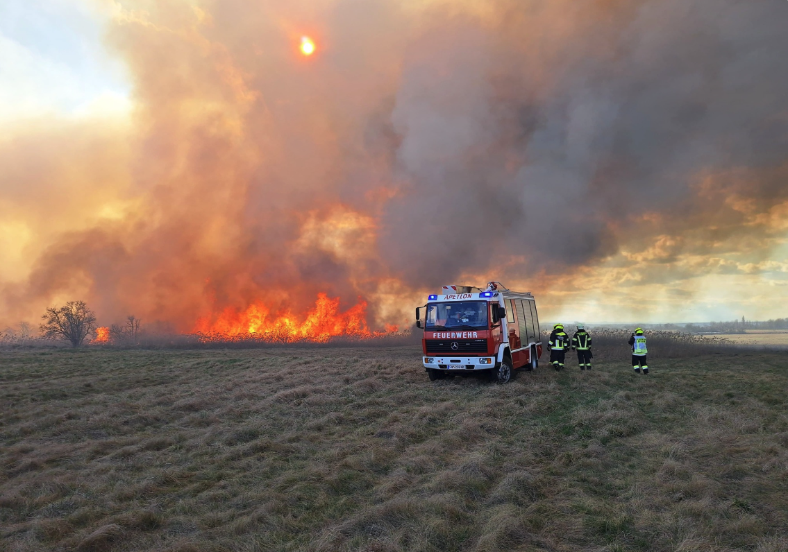 Heute.at - Immer mehr Brände – Feuerwehr im Dauereinsatz