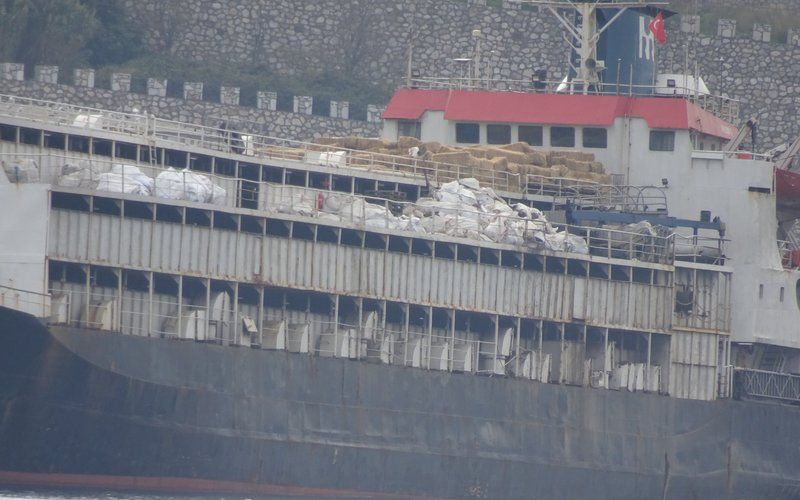 Die Spiridon II war mit 2.901 Rindern beladen auf dem Weg von Uruguay in die Türkei