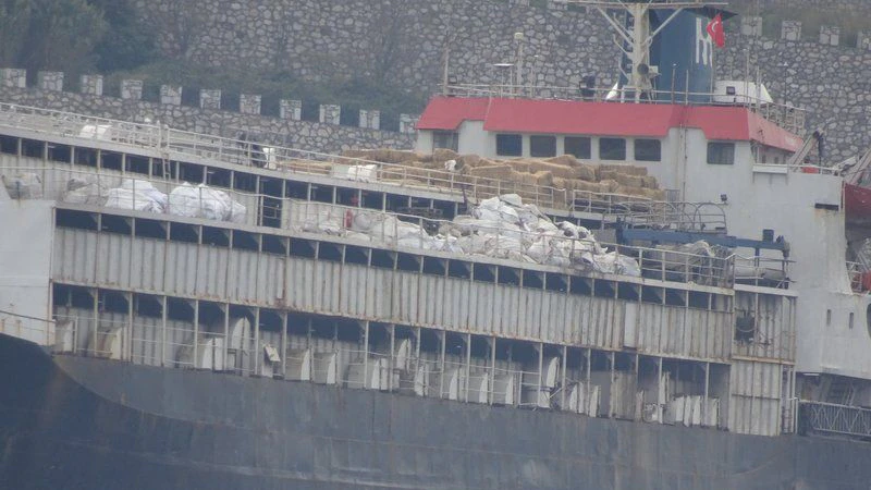 Die Spiridon II war mit 2.901 Rindern beladen auf dem Weg von Uruguay in die Türkei