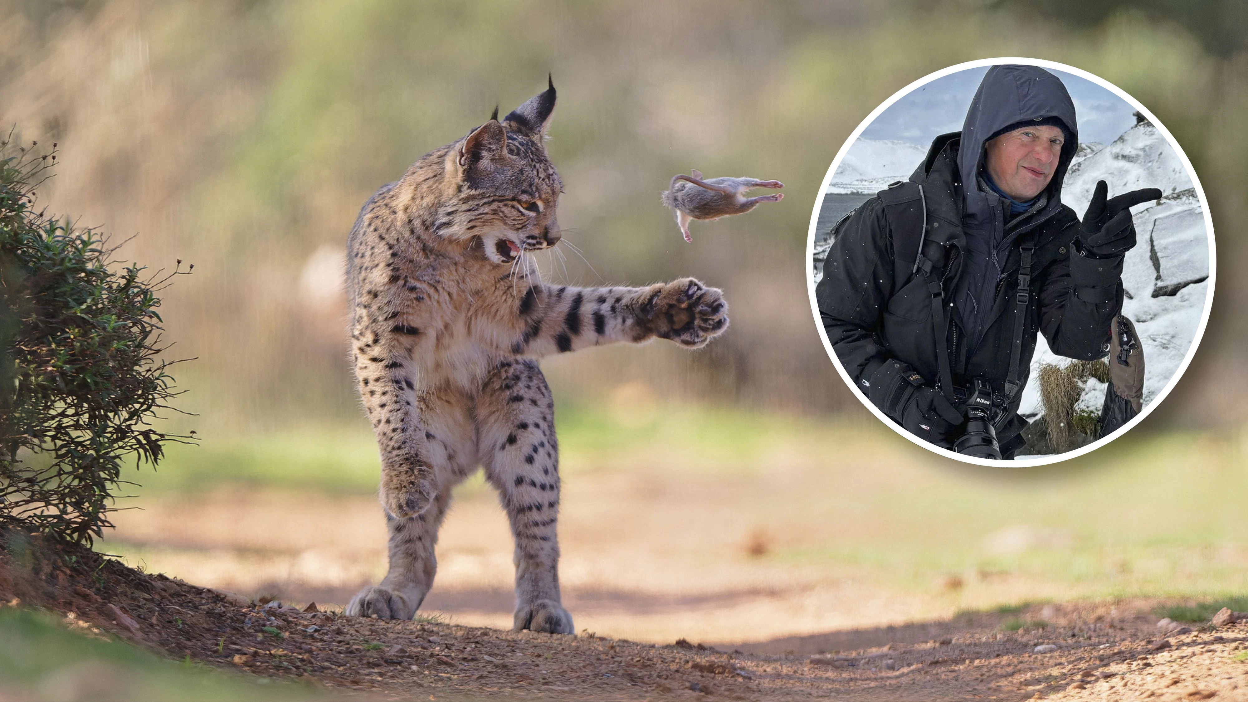 Heute.at - Sensation! NÖ-Fotograf holt Oscar der Naturfotografie