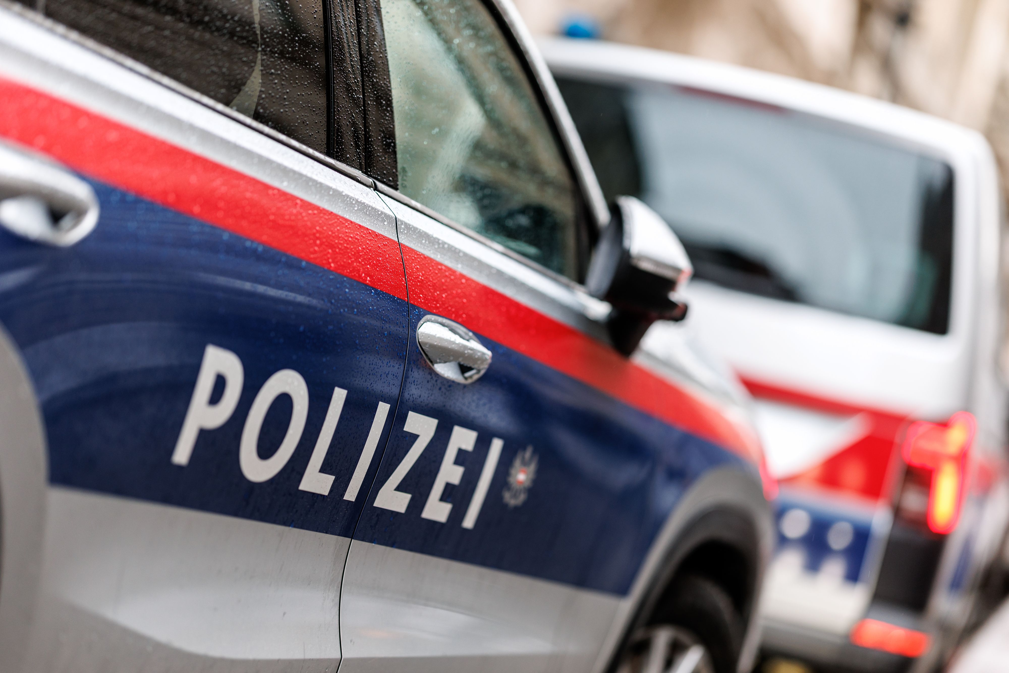 Die Polizei konnte die beiden Verdächtigen rasch festnehmen - zuvor hatten sie sich mit einer Pensionistin angelegt.