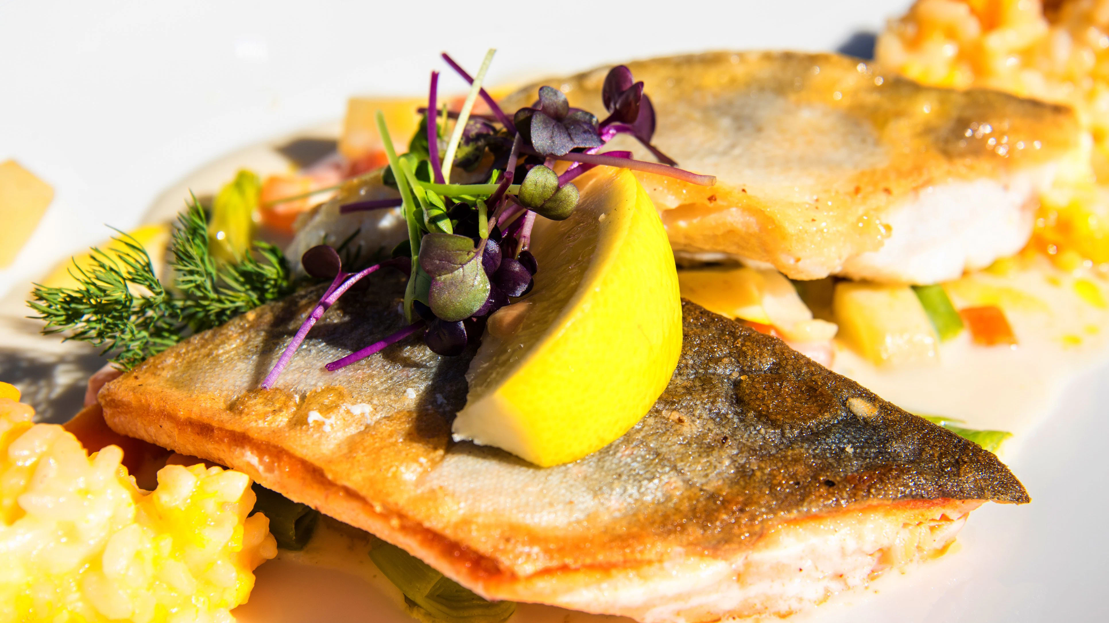 Heute.at - Jeden Tag Fisch – das passiert im Körper