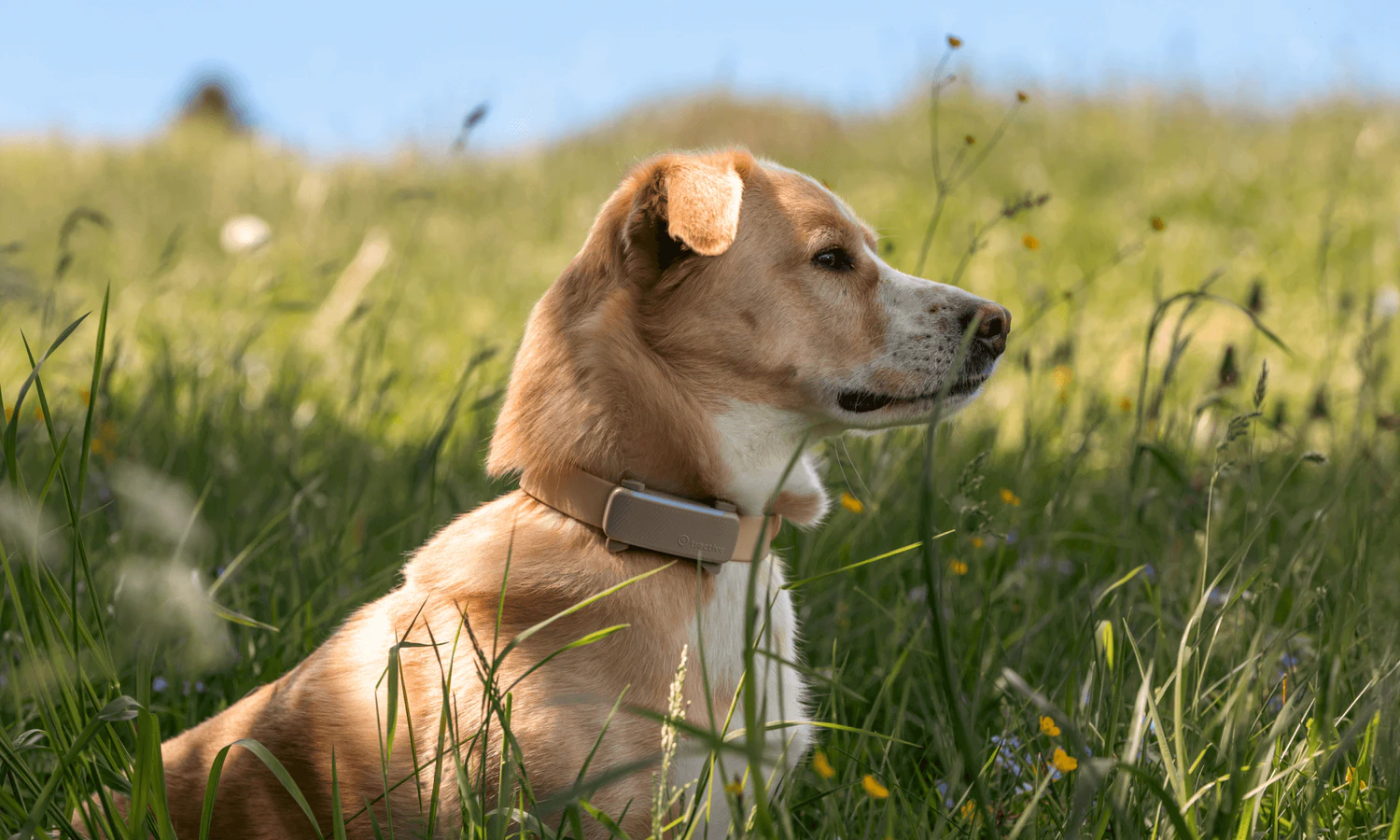 Aus einer Studentenidee wird ein Millionen-Deal - und Oberösterreich schreibt damit ein weiteres Tech-Kapitel.