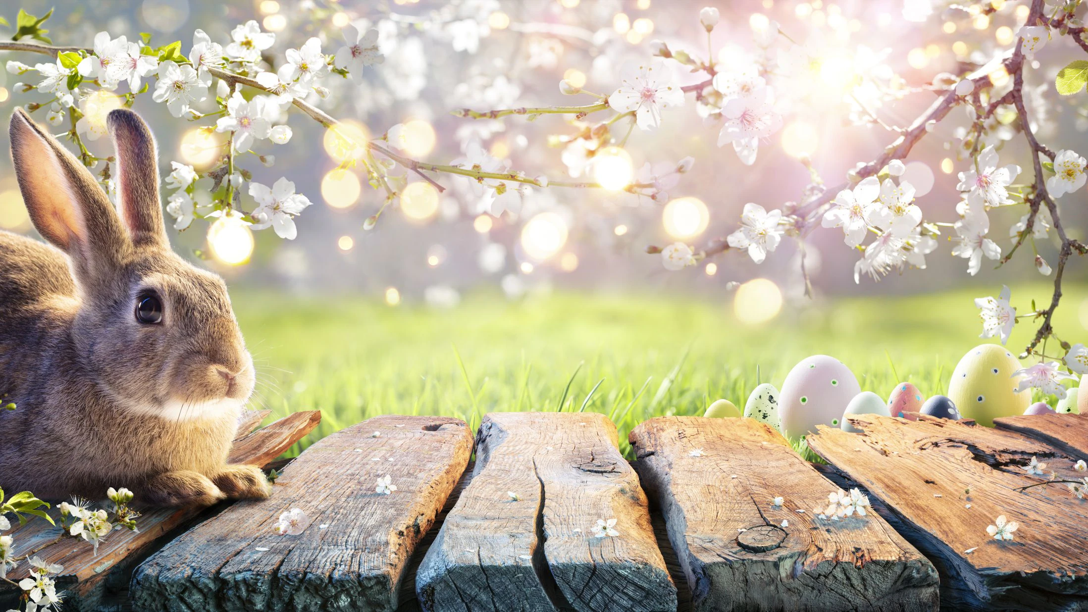 Gewinne mit ein wenig Hilfe vom Osterhasen eines der tollen Spiele für Kinder und Erwachsene.