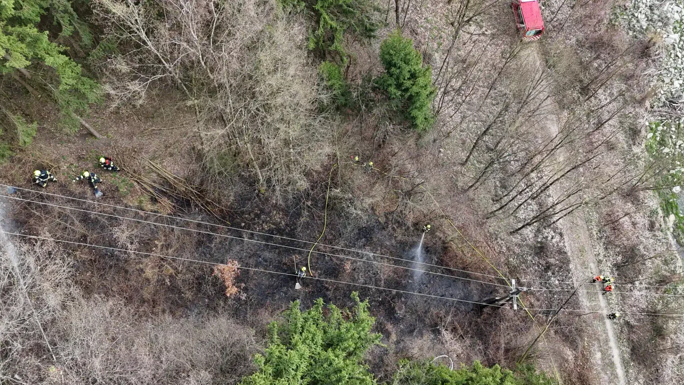 Heute.at - Baum stürzt in Stromleitung, Wald beginnt zu brennen