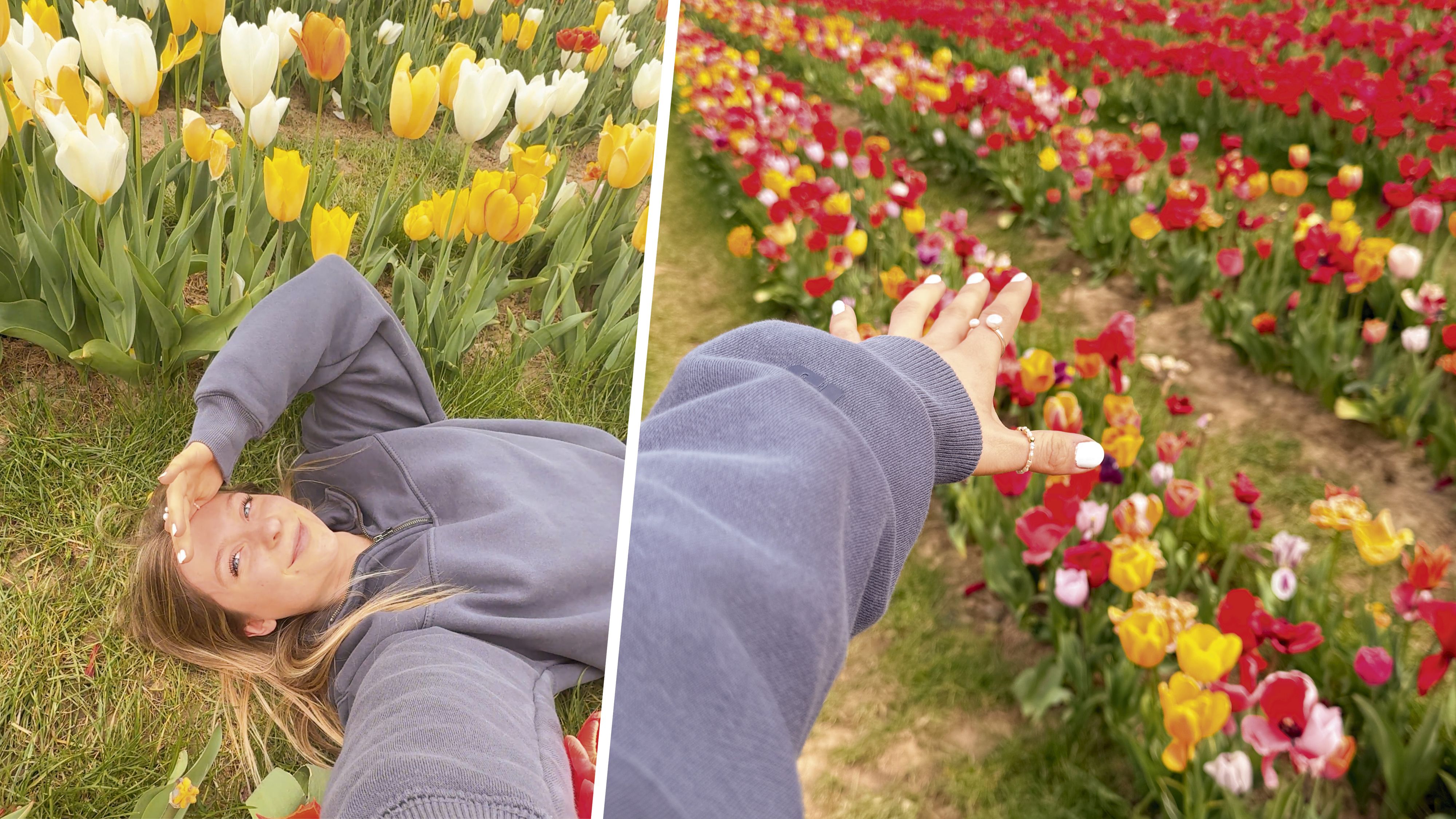 Das Tulpenfeld in Holland: In zwei Wochen soll auch das Tulpenfeld am Erdbeer- und Kürbishof Wunderlich von Helena Wunderlich (Bild) so aussehen.