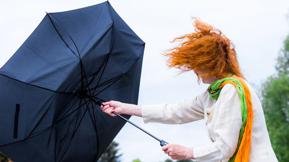 Heute.at - März-Rekorde! Orkan peitscht mit 134 km/h durchs Land
