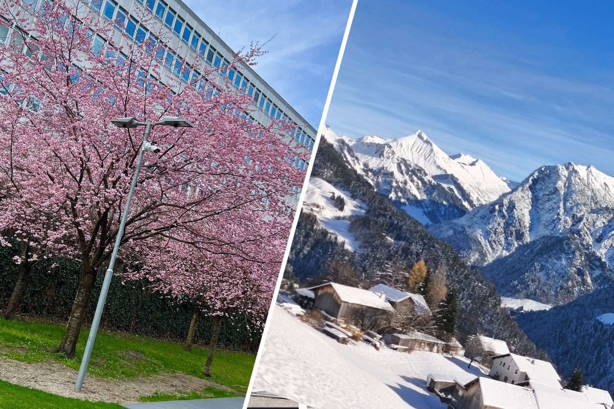 Heute.at - Blüten und Schnee – so erlebt Österreich den Frühling