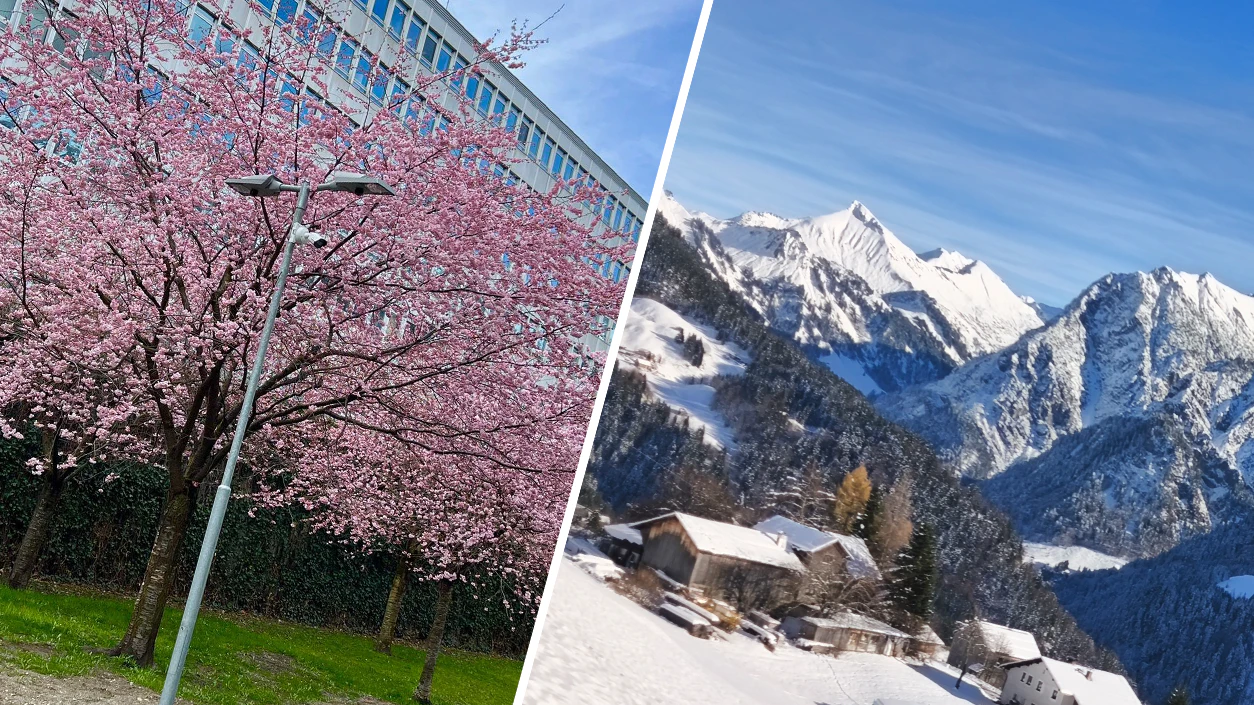 Letzte Woche blühten noch die Bäume, nun hat der Winter Einzug gehalten