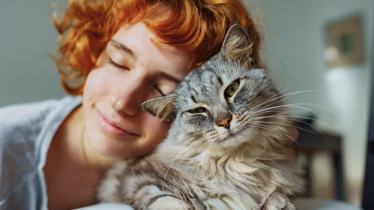 Heute.at - Darum haben Mensch und Katze oft dieselben Krankheiten