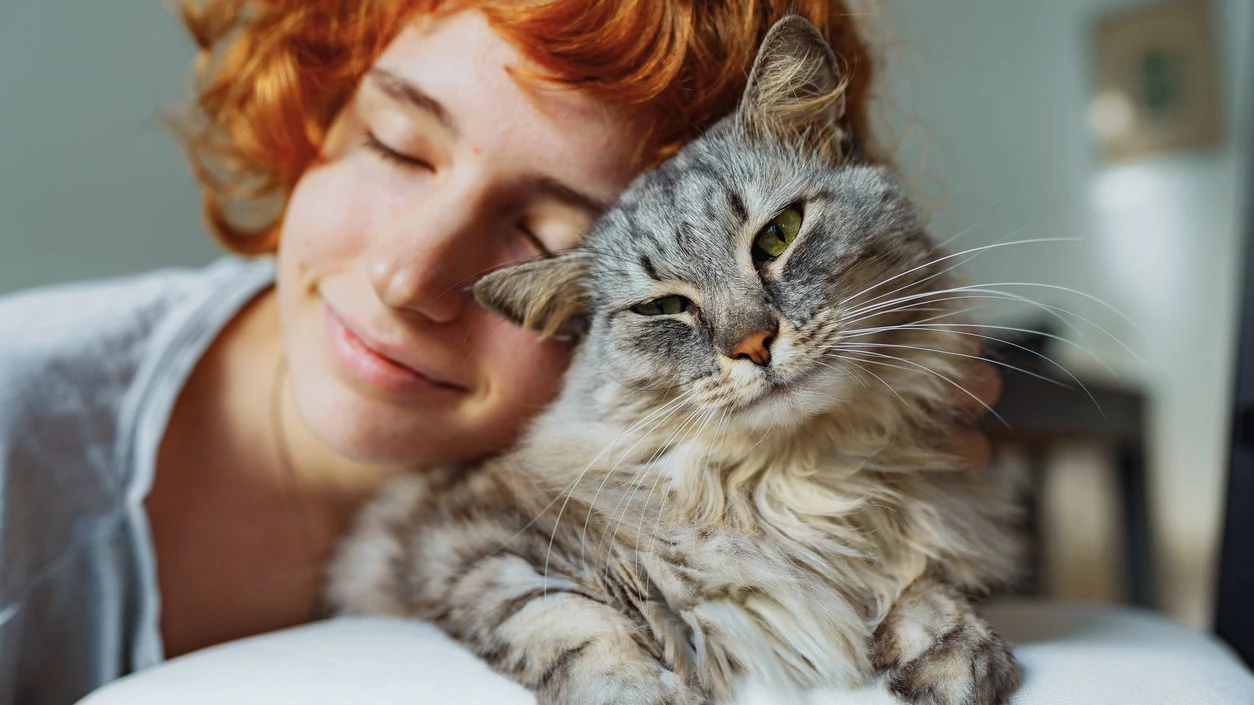 teenage girl with curly red hair, with pet, large gray striped fluffy cat, spends time together.