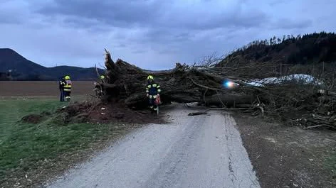 Heute.at - Bäume, Brände, Blackout – Sturm-Chaos in Kärnten