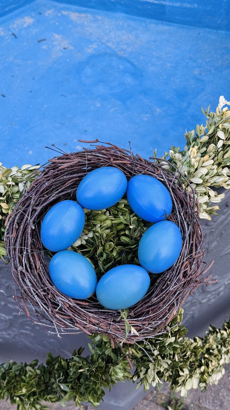 Die Grünen kritisieren das Geschenk der FPÖ. (Symbolbild)