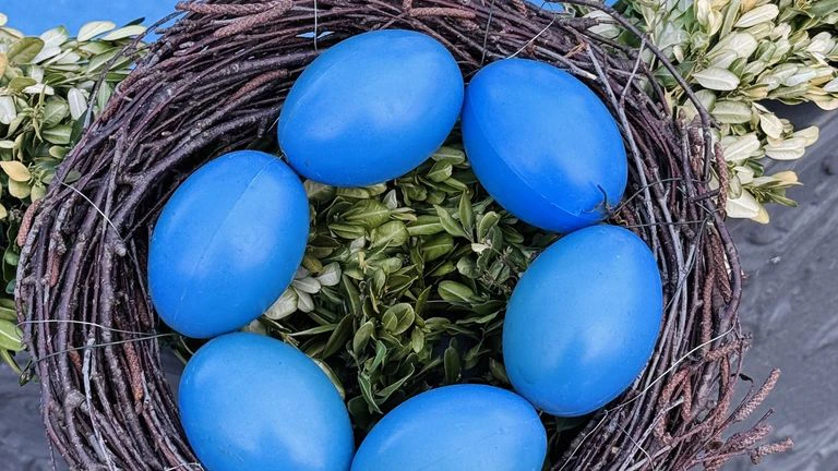 Die Grünen kritisieren das Geschenk der FPÖ. (Symbolbild)