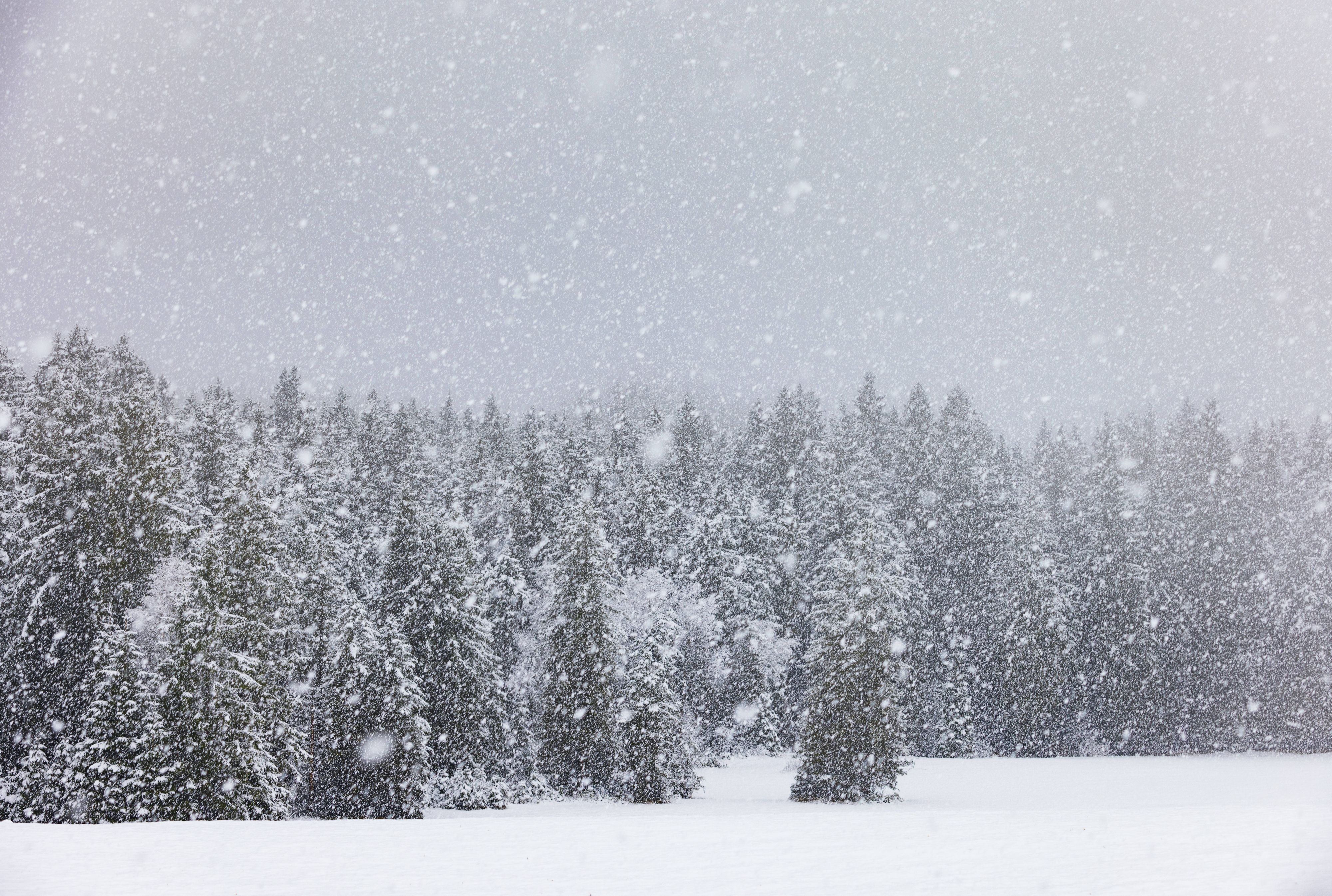 Heute.at - Selten, aber kommt doch vor – Meteorologe erstaunt
