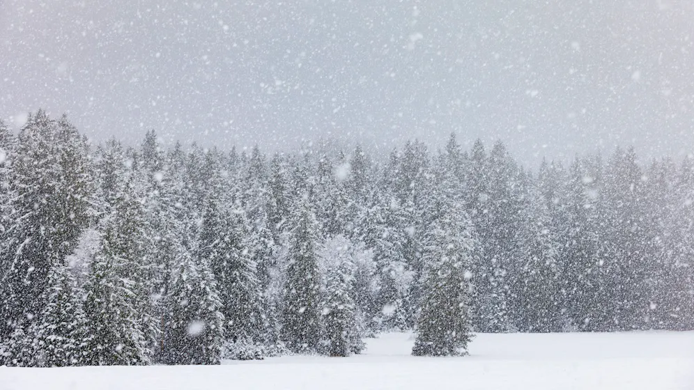 Heute.at - Selten, aber kommt doch vor – Meteorologe erstaunt