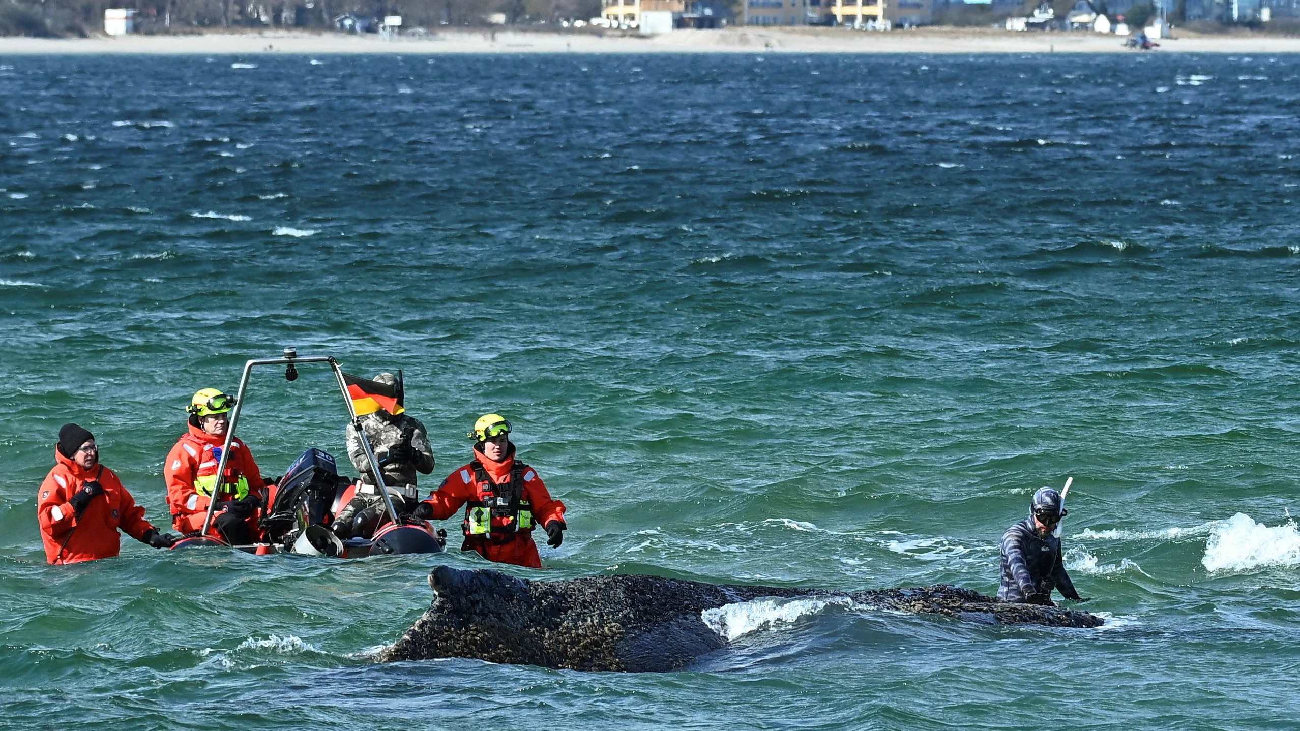 Animal rights activist Robert Marc Lehmann stands next to a stranded 10-meter-long humback whale as rescuers try to refloat the mammal into the Baltic Sea at Timmendorfer Strand beach near Travemuende, northern Germany, March 26, 2026. REUTERS/Jonas Walzberg 