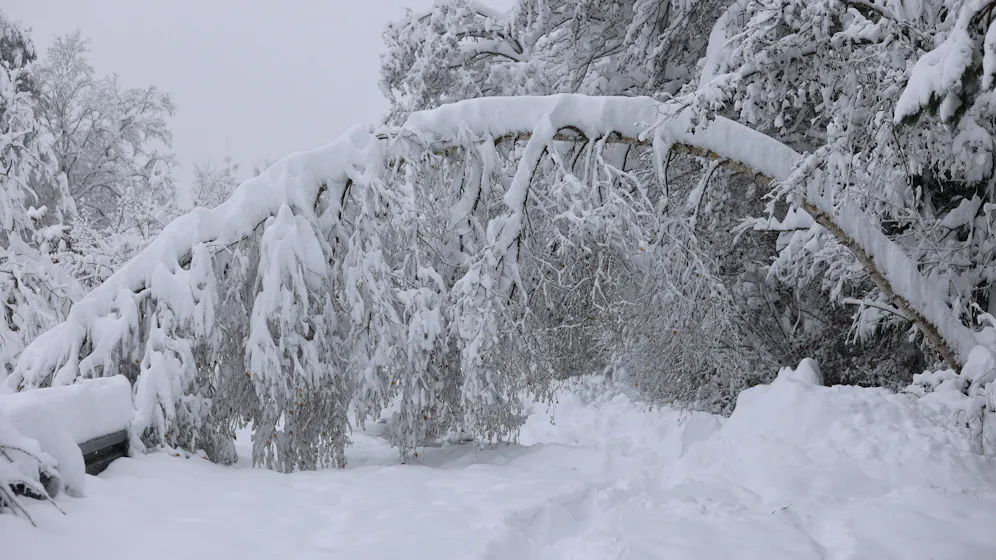Heute.at - Winter-Watsche! Schnee-Walze rollt über Österreich