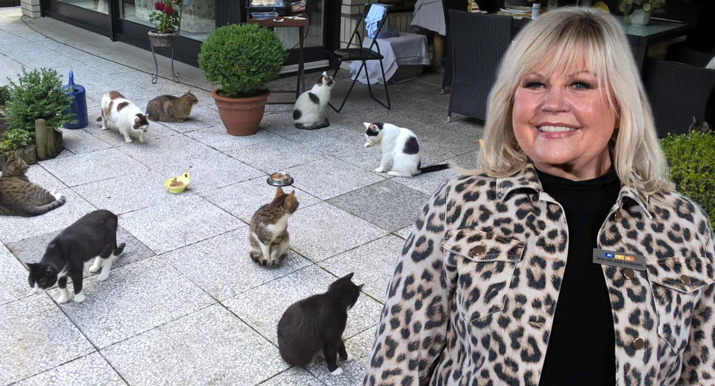 Gaby Baginsky versorgt elf Katzen.