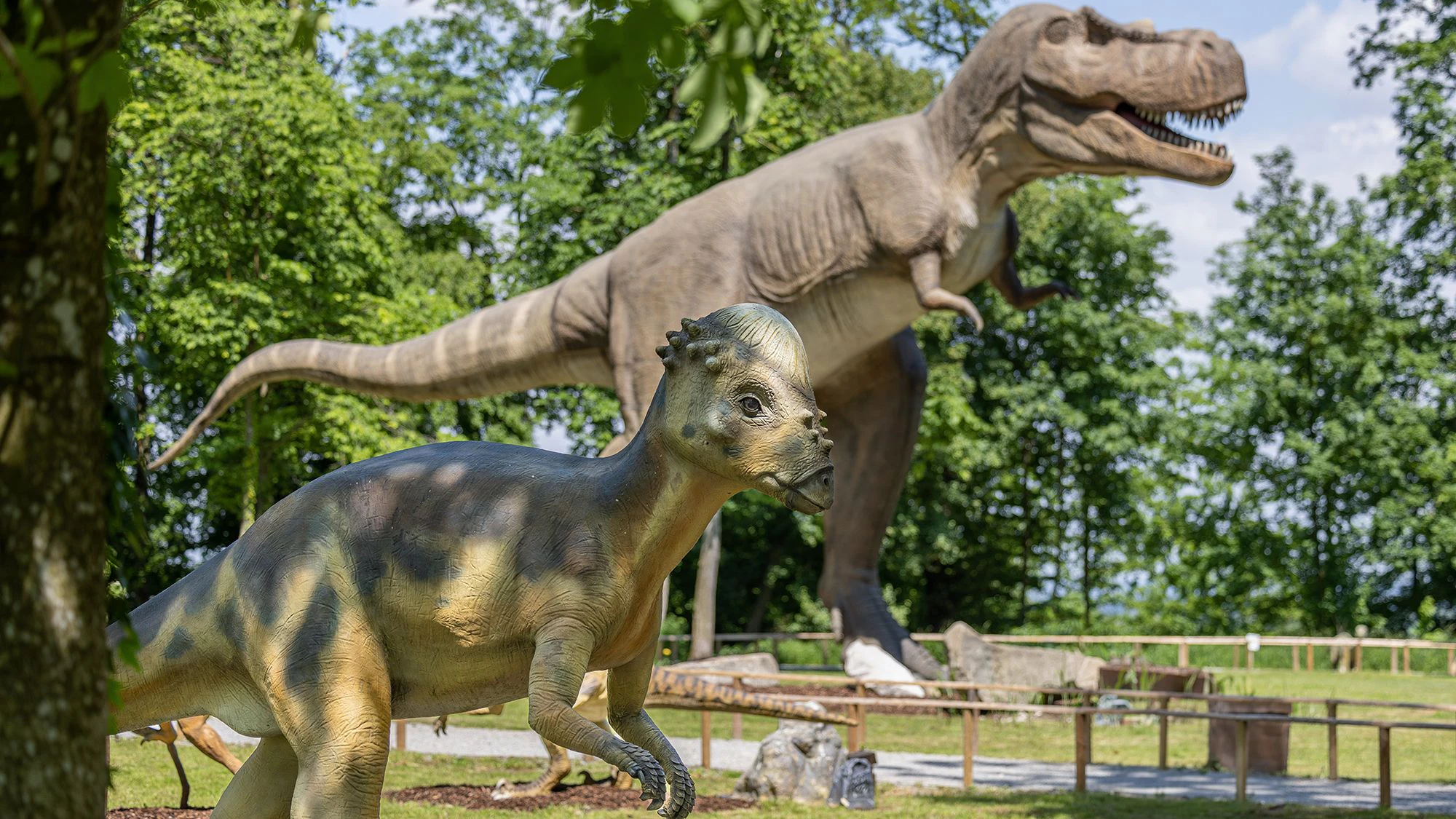 Seit Samstag hat Österreichs größte Urzeit-Erlebniswelt wieder geöffnet.