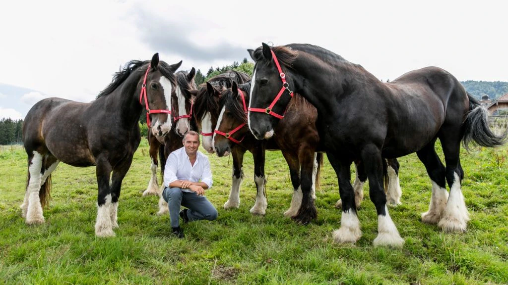 Das riesige Septett sorgte für ganz viel Freude auf dem Gut Aiderbichl Henndorf.