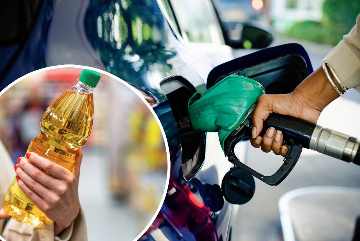 Aus Verzweiflung tanken immer mehr Leute jetzt mit Speiseöl – Experten warnen.