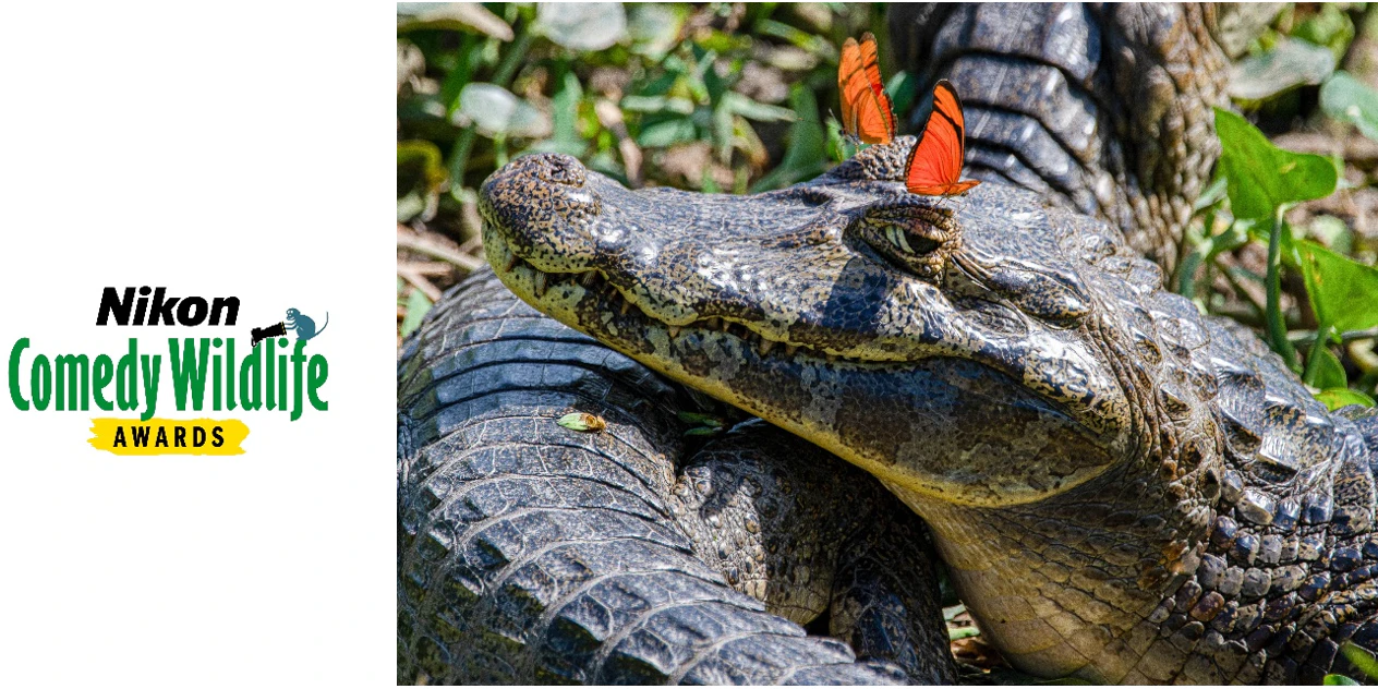 Morris Hersko, "Feeling cute, might delete later".