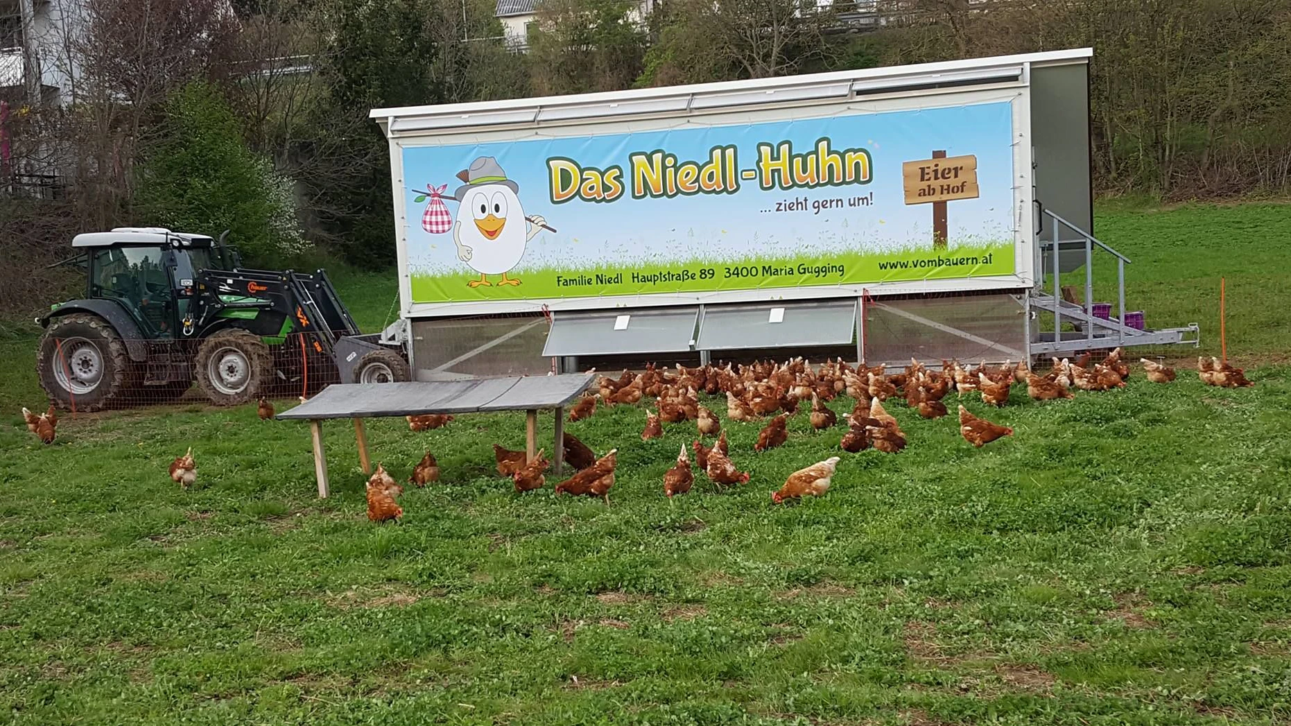 In diesen mobilen Ställen werden etwa 450 Legehennen gehalten.