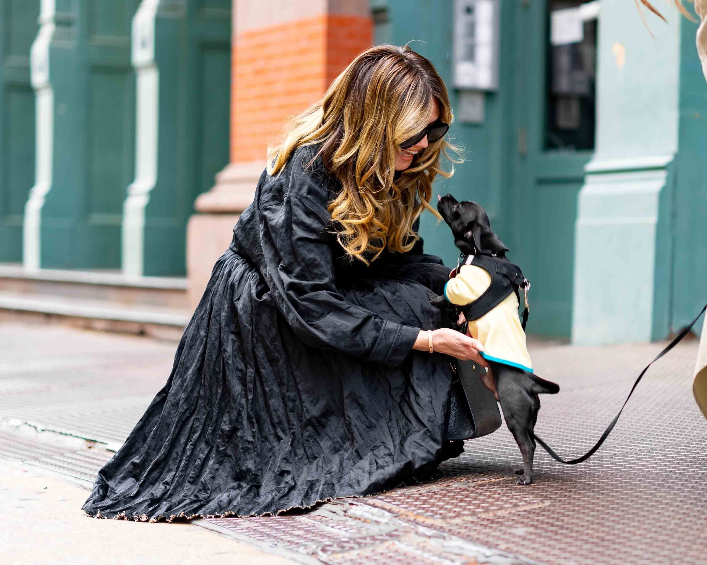 Heute.at - Hündchen stoppt Heidis Spaziergang durch New York