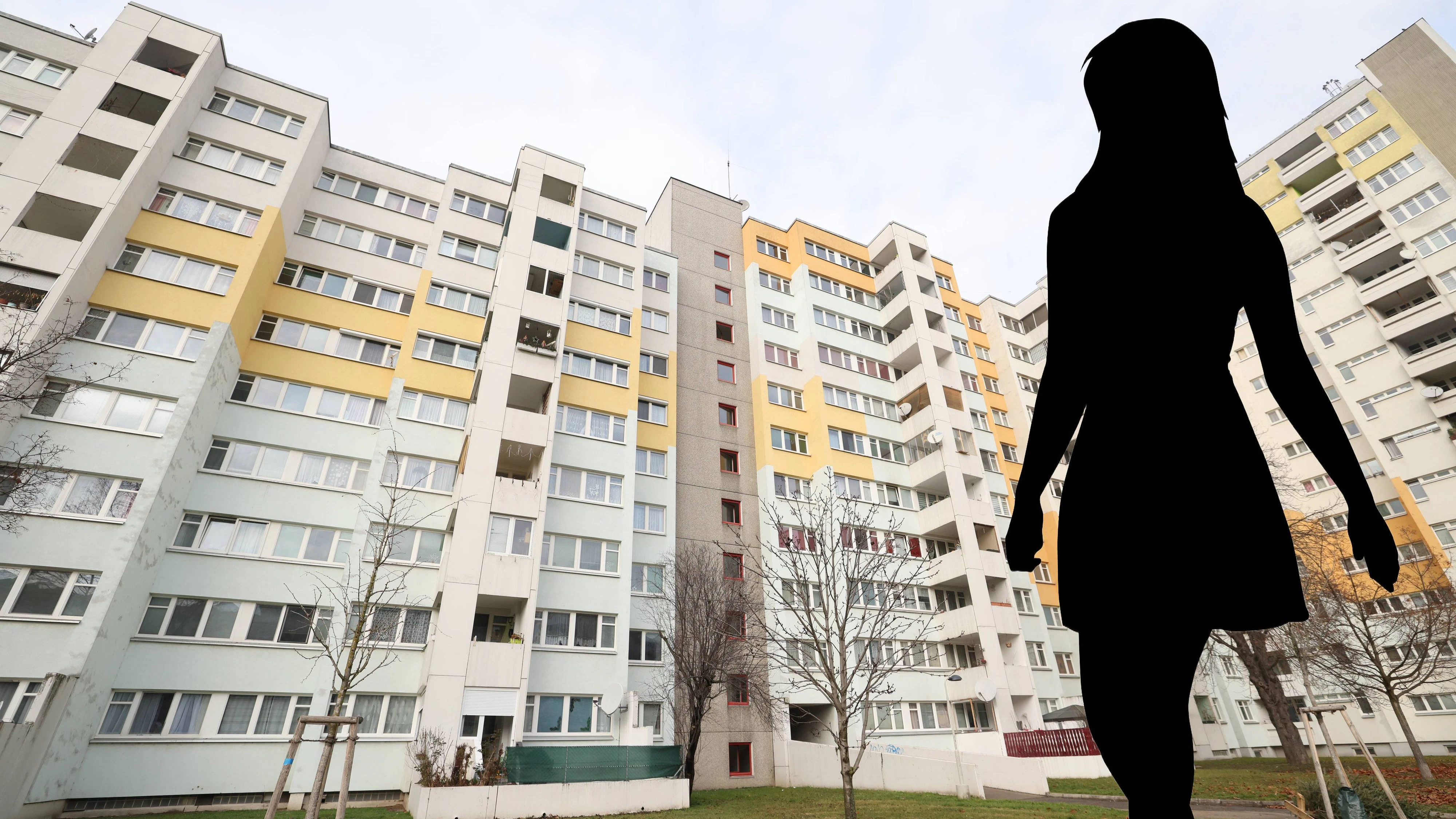 Mädchen prügelten Opfer in Siedlung am Rennbahnweg in der Donaustadt in Wien. 