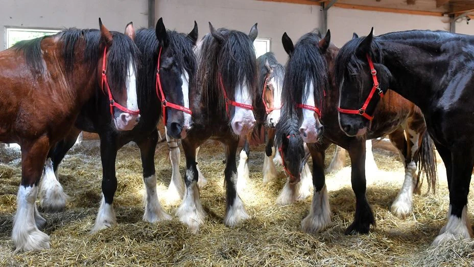 Hier war das Septett noch komplett.