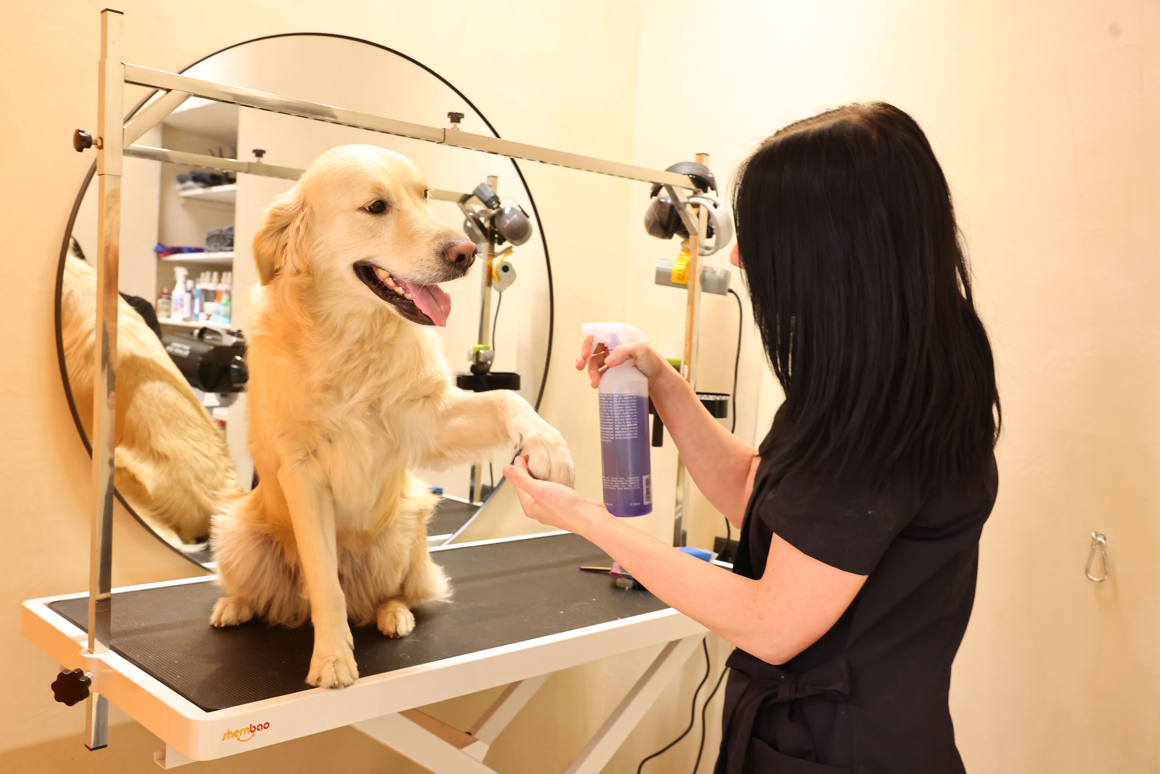 Im Dog-Spa in Wien-Neubau werden Hunde verwöhnt.