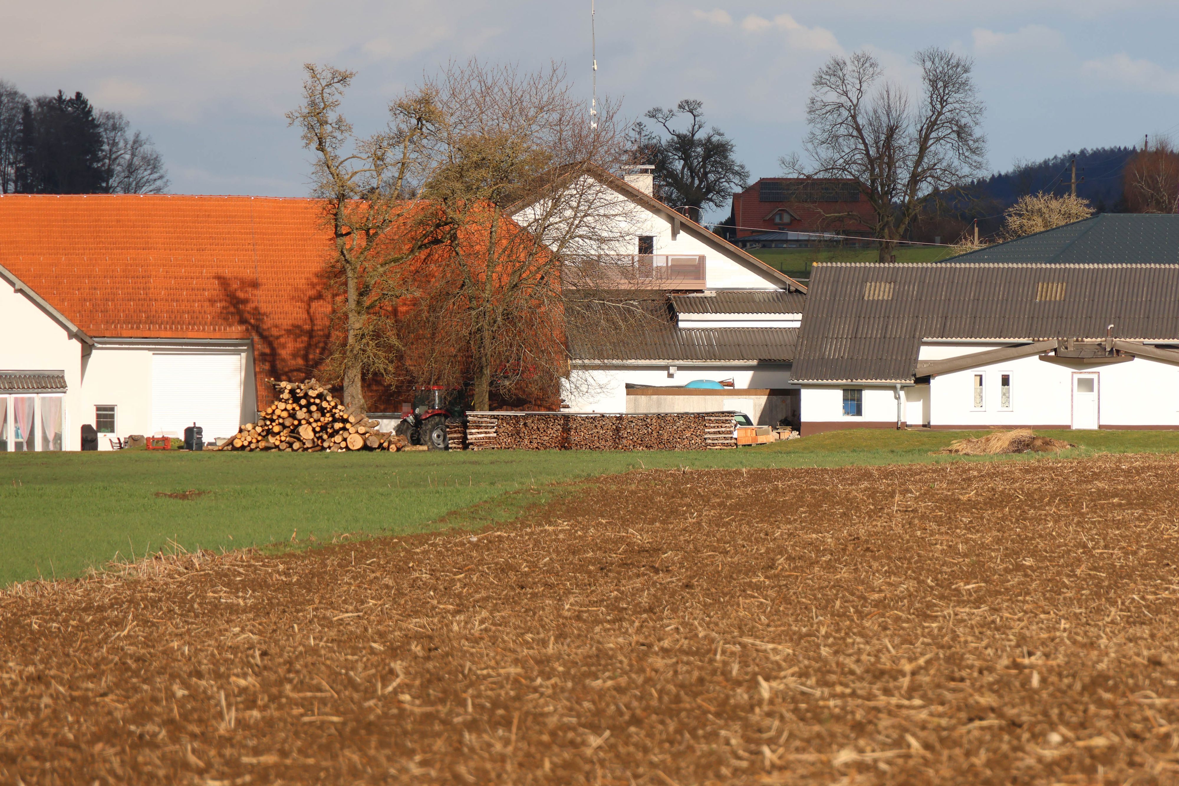 Heute.at - Feuerwehr kann Einsatz schon nach 30 Minuten beenden