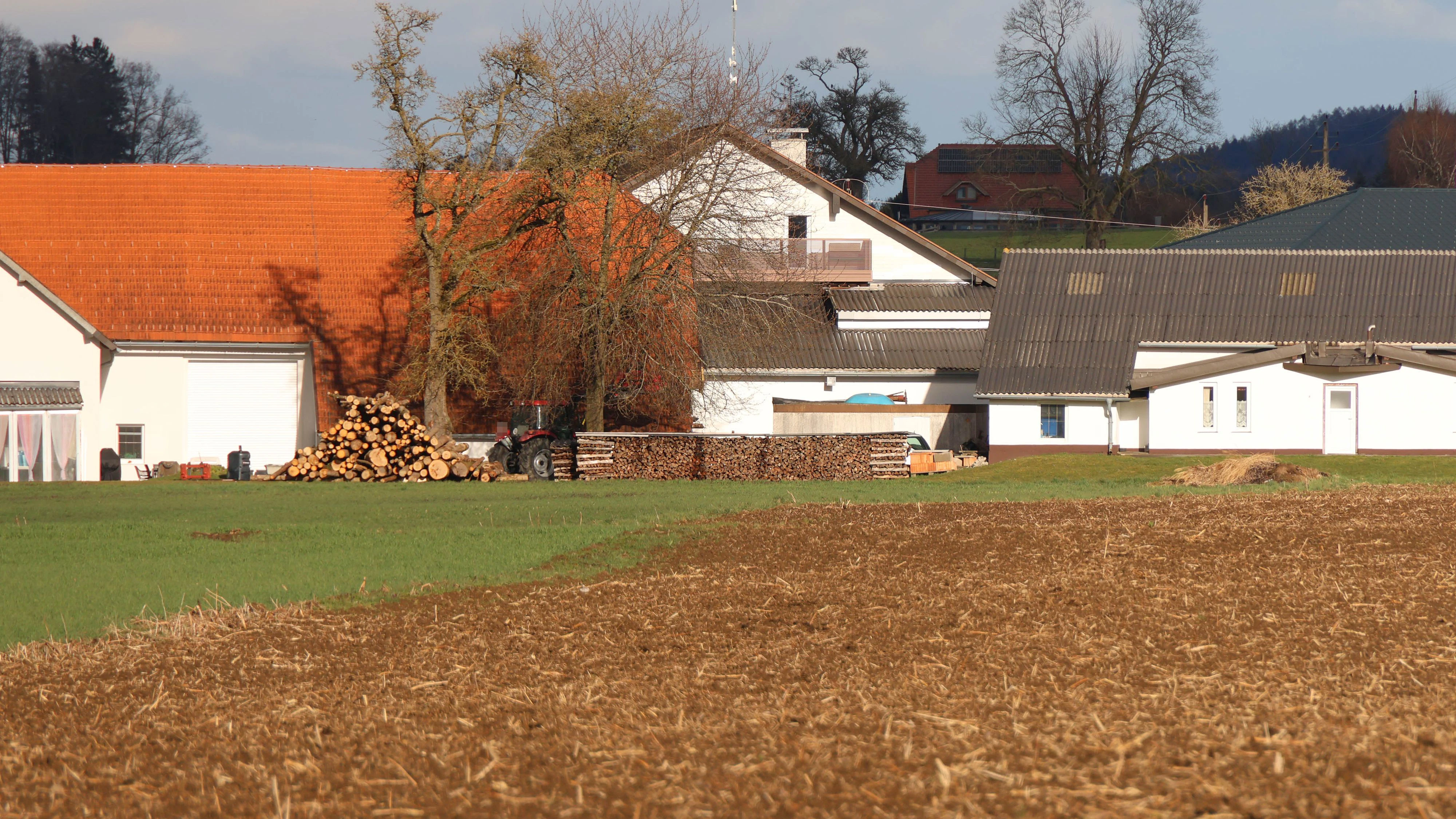 Heute.at - Feuerwehr kann Einsatz schon nach 30 Minuten beenden