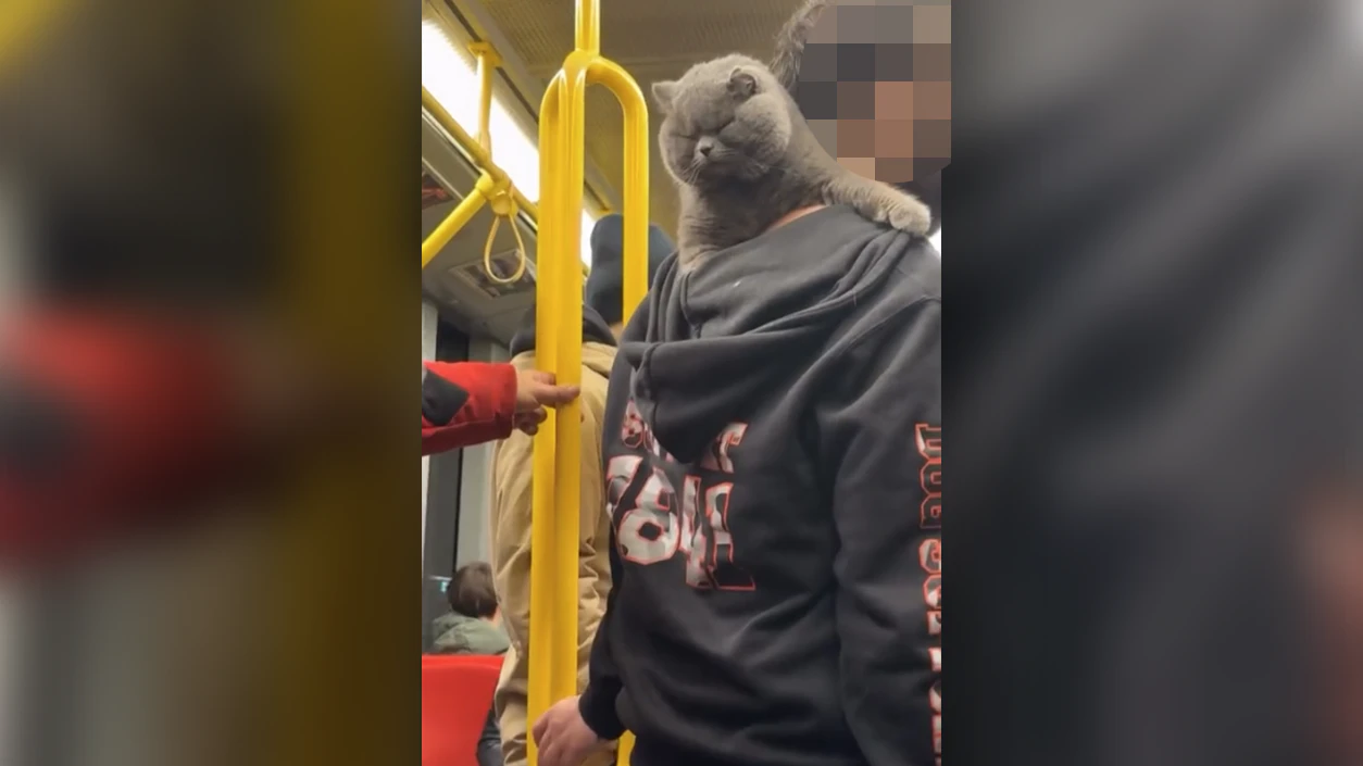 Am Dienstag sorgte die Begegnung in der U6 für Faszination.