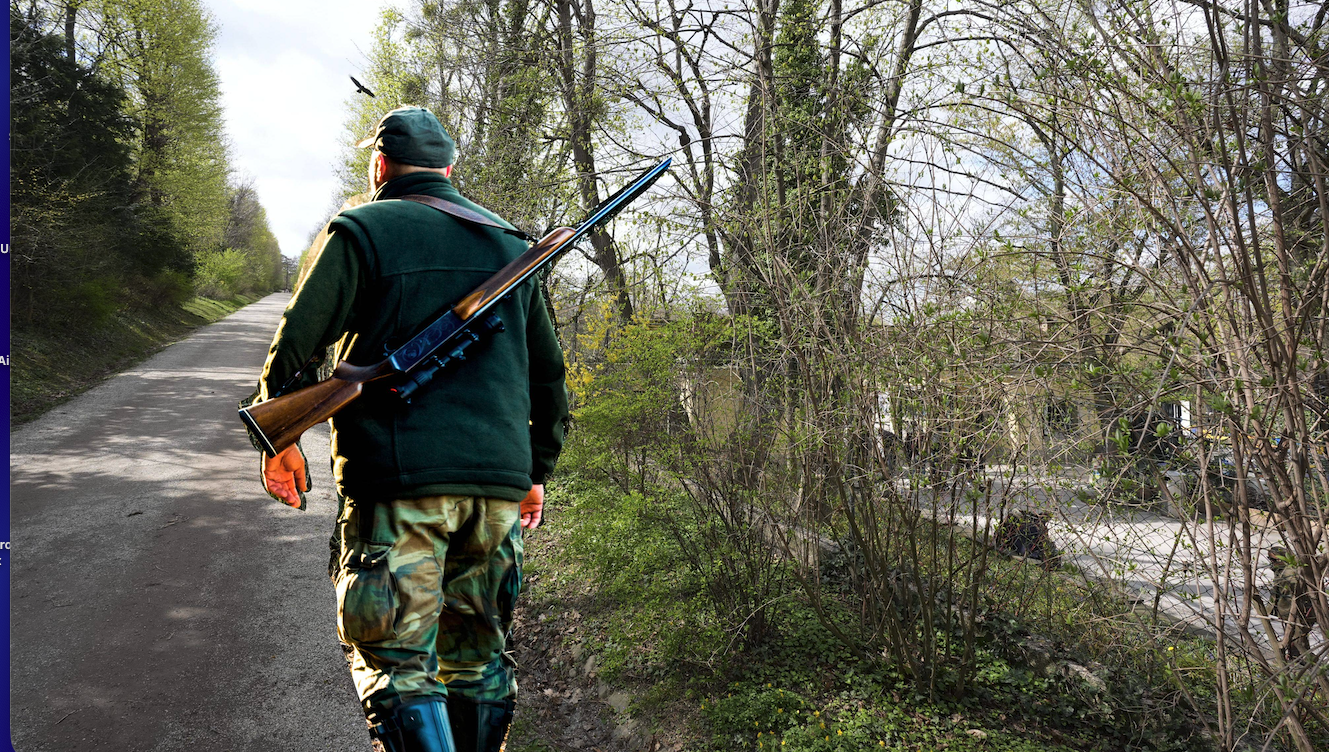 Heute.at - Tiere in Gefahr! Antilopen-Killer könnte wieder töten