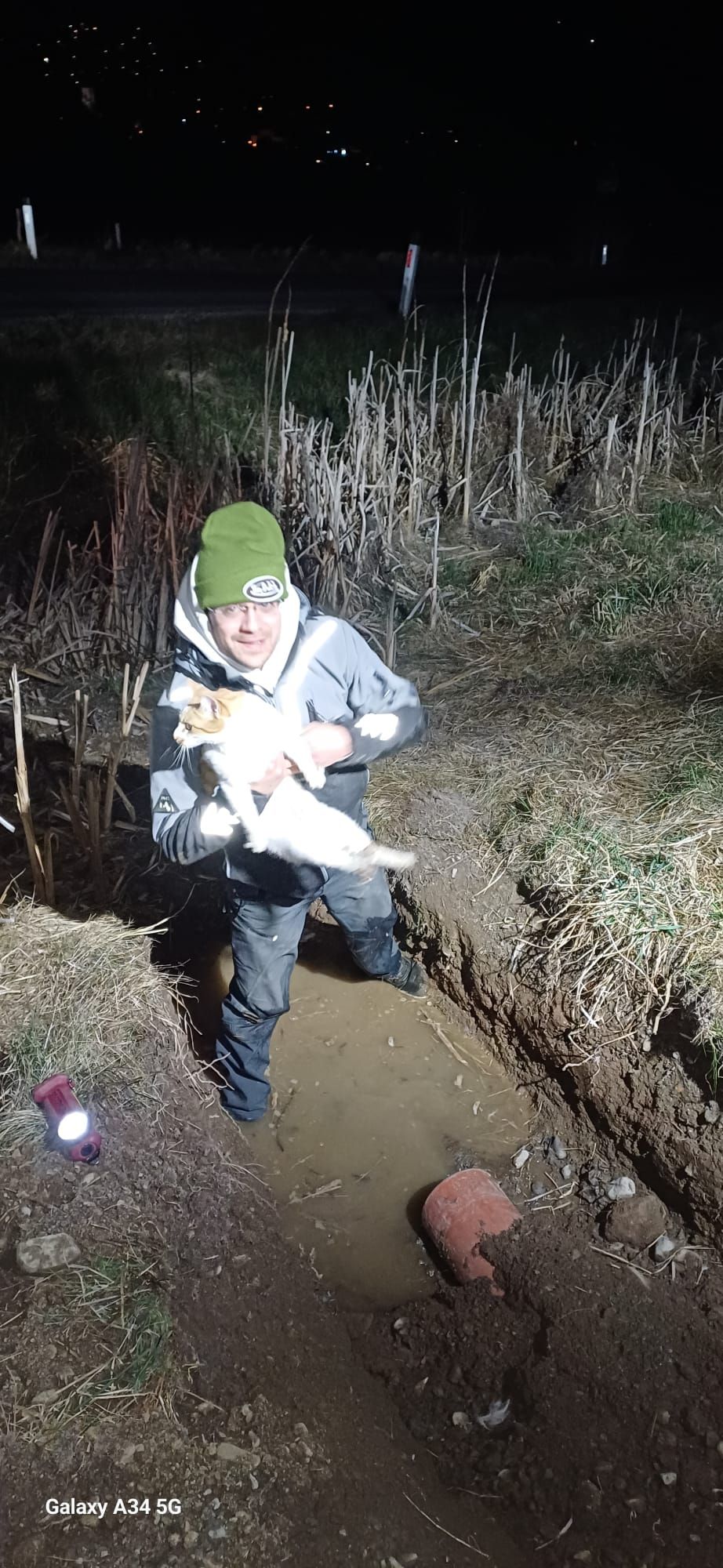 Heute.at - Tierische Rettung – Peterle steckte in Kanal fest