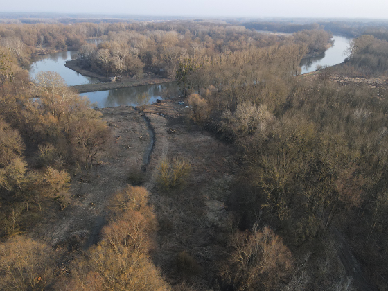 Teil des gemeinsamen Maßnahmenplans an der March ist die Wiederanbindung des Mäanders.