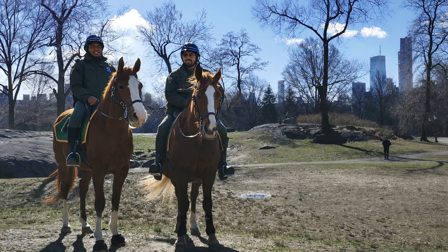 In den USA, wie hier im Central Park, ein gewohntes Bild: berittene Polizei