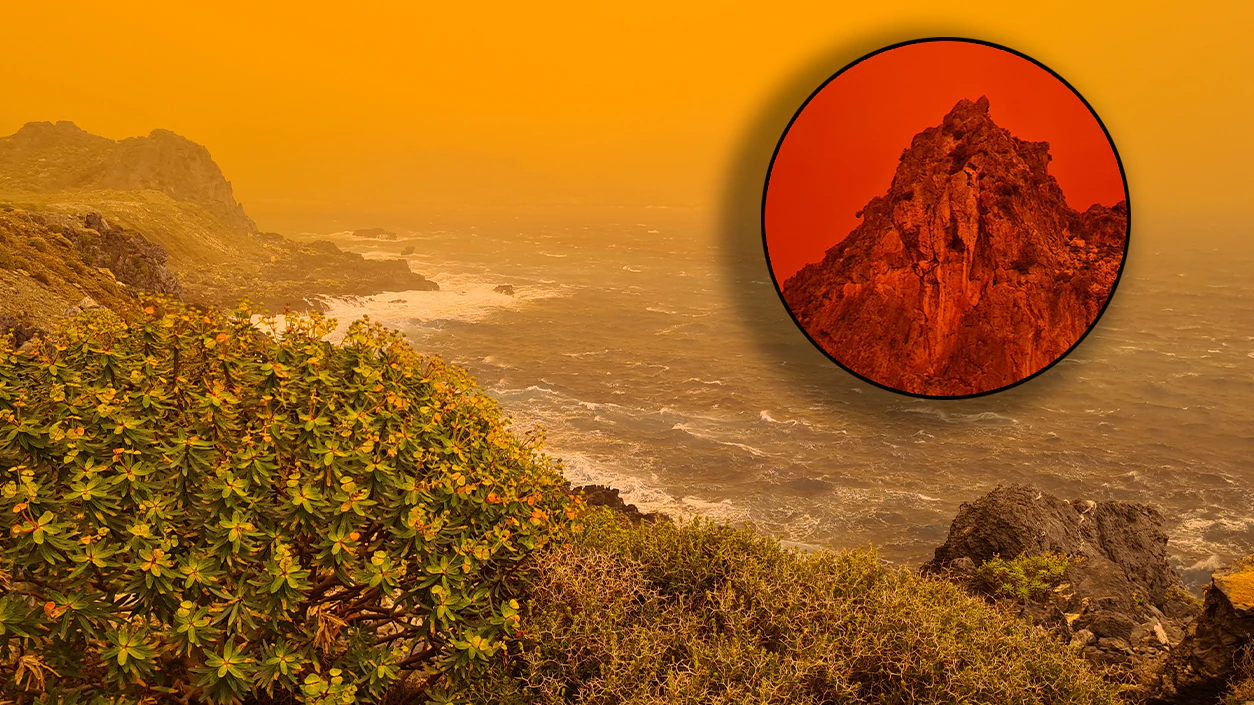 Heute.at - Wiener erleben Saharastaub statt Traumurlaub