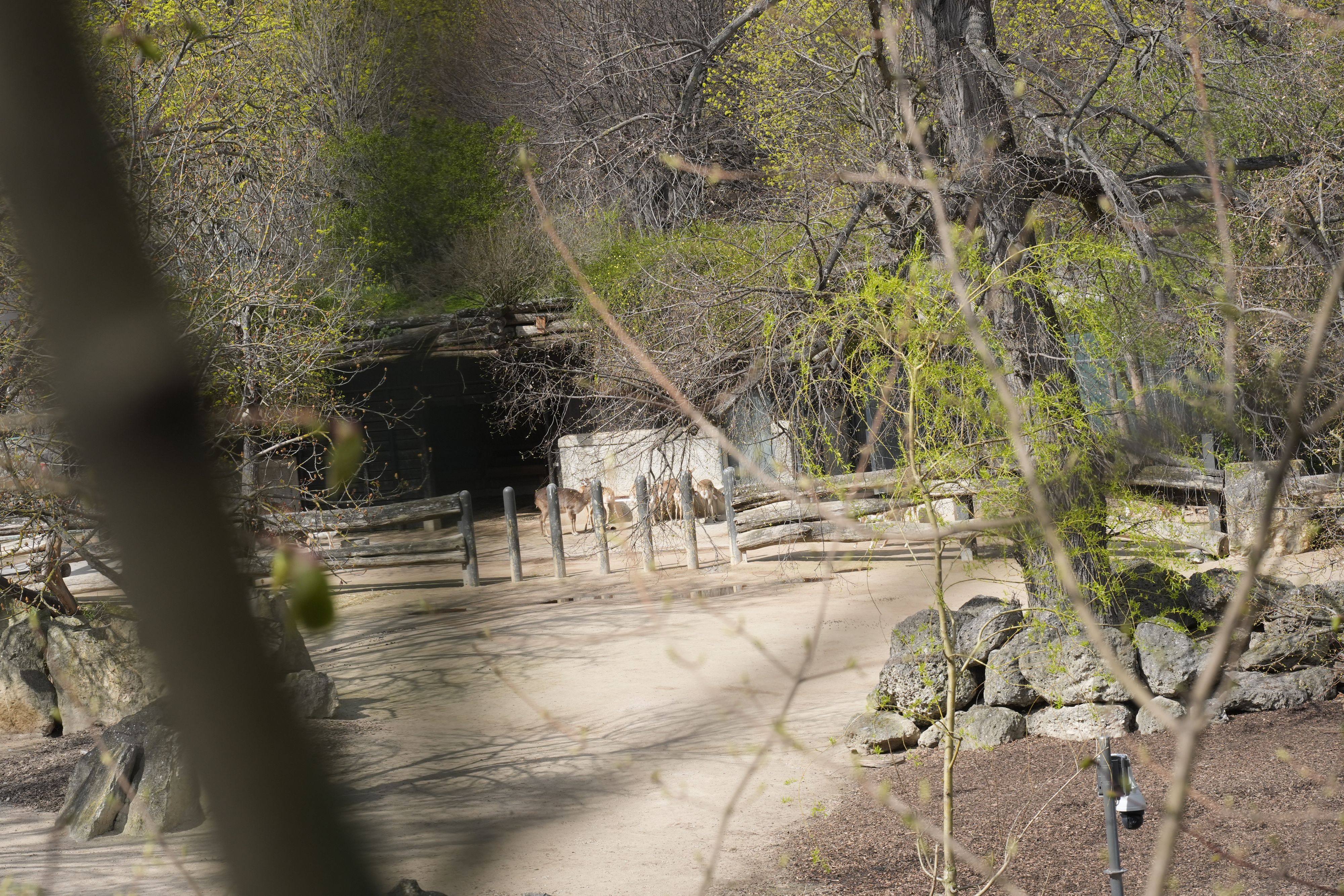 Blick vom erhöhten Weg ins Gehege: Von hier dürfte der Täter freie Sicht auf die Antilopen gehabt haben.